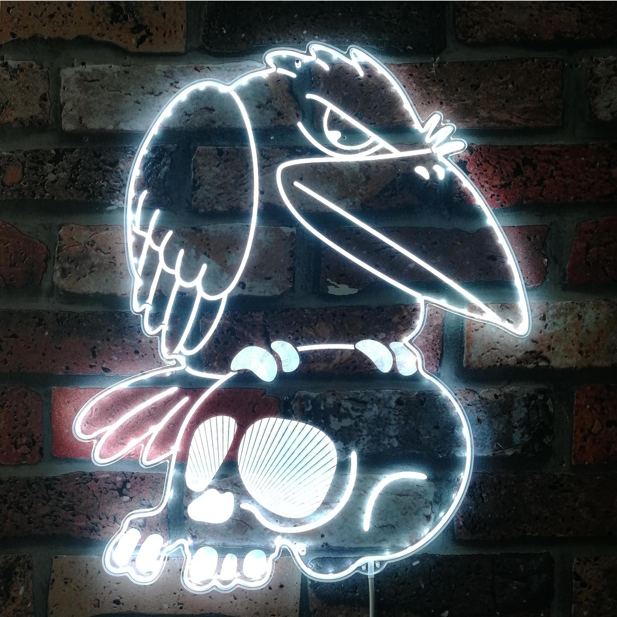 Stark Raven Dynamic RGB Edge Lit LED Sign