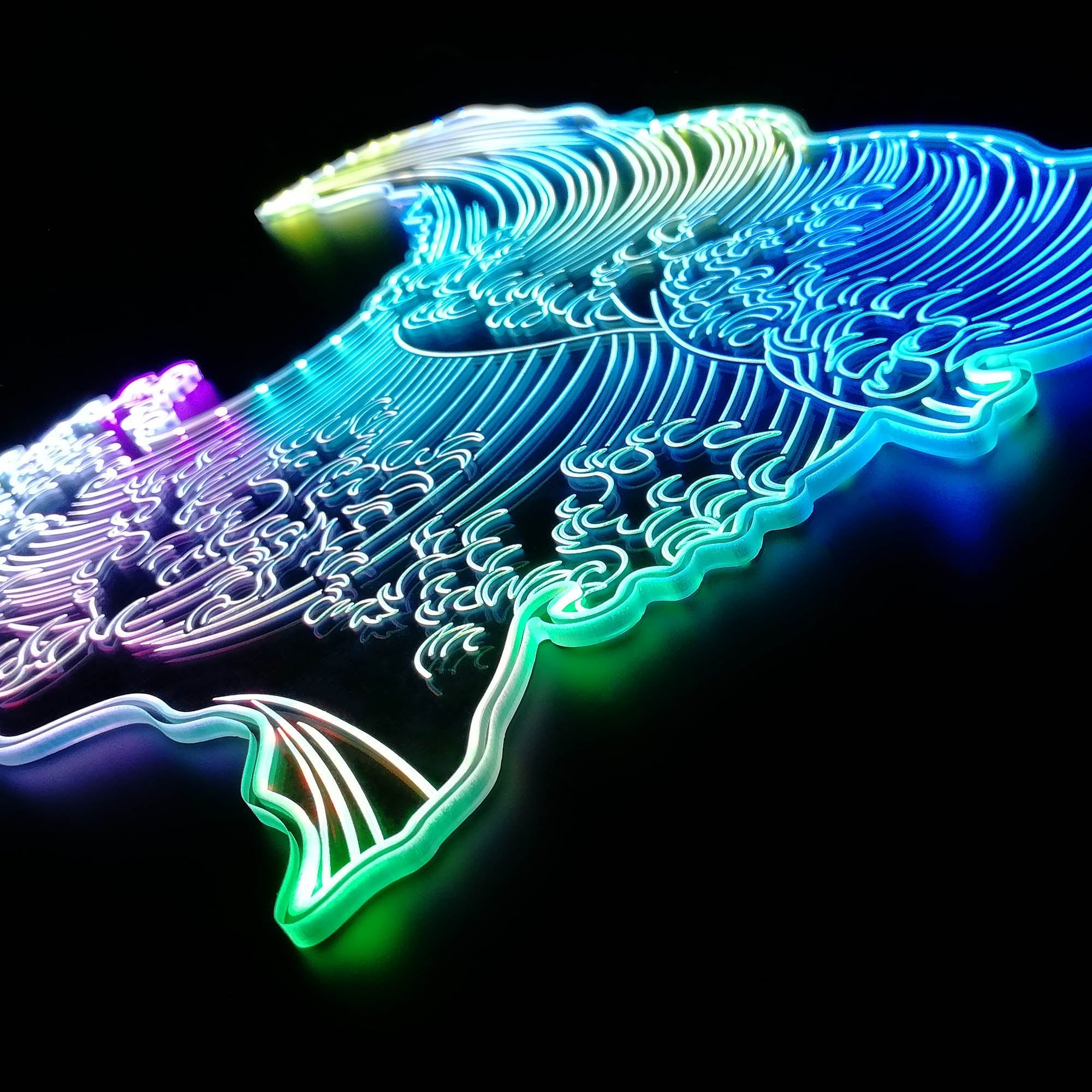 Custom Create Your Own Neon LED Sign with Dynamic RGB Colors