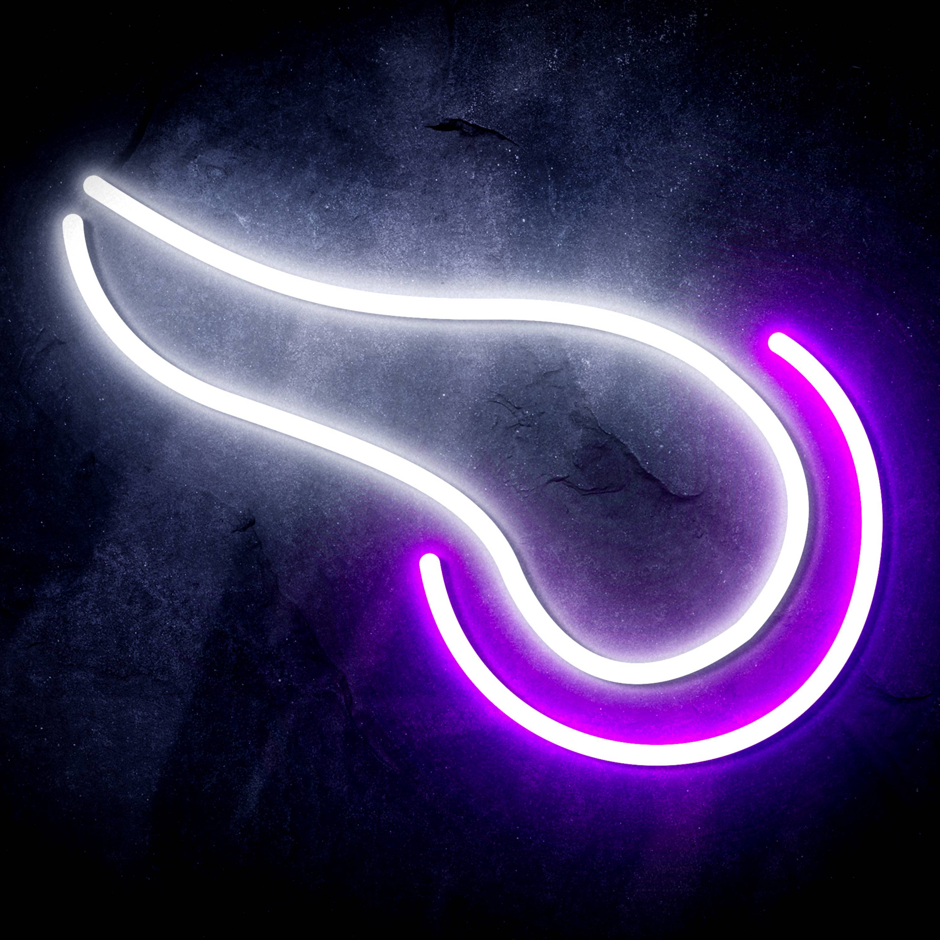 NFL Minnesota Vikings LED Neon Sign