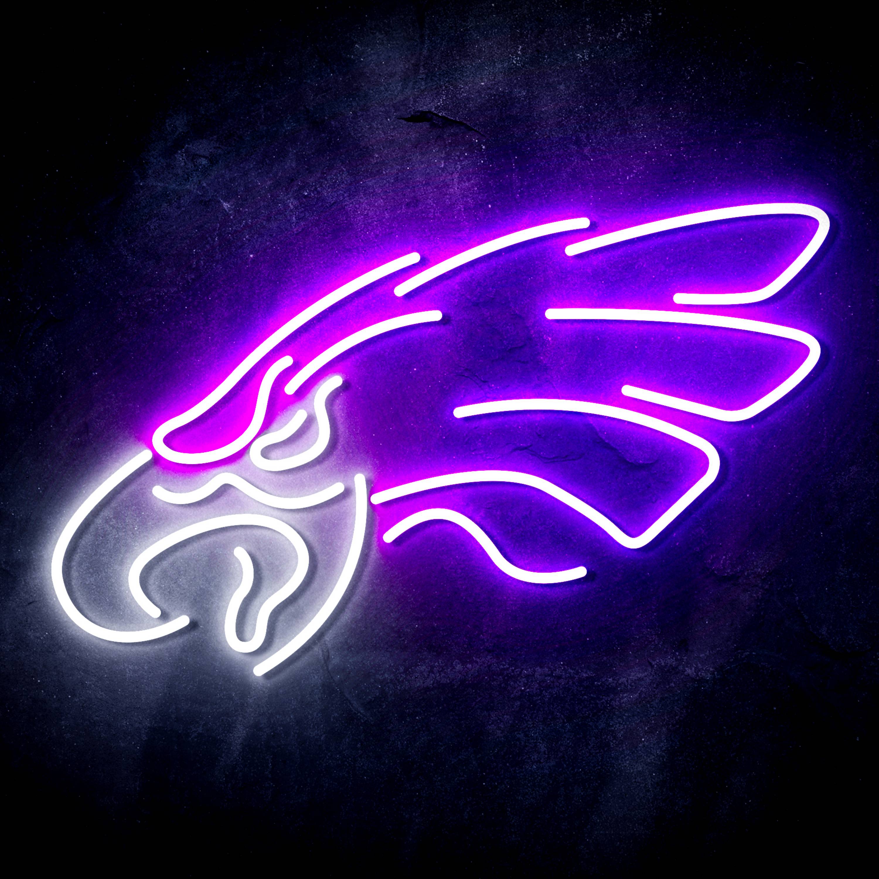 NFL Philadelphia Eagles LED Neon Sign