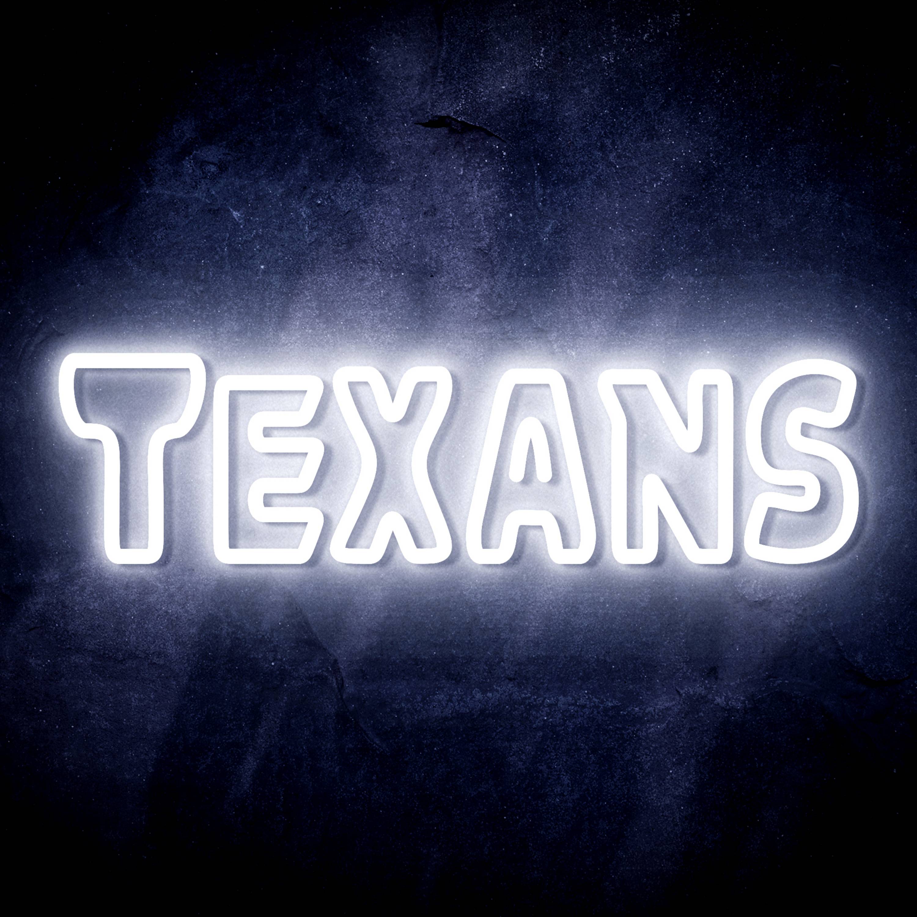 NFL TEXANS LED Neon Sign