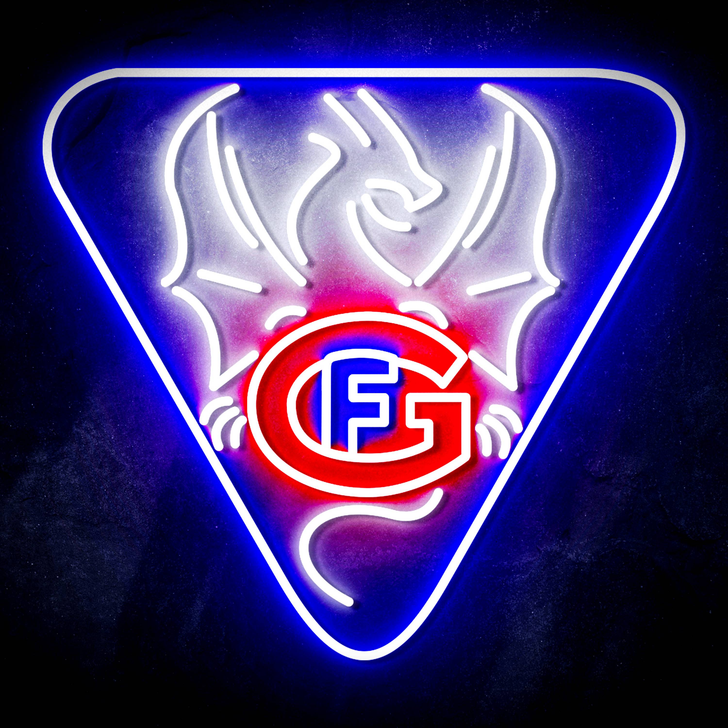 Hockey Club Fribourg-Gott茅ron logo LED Neon Sign