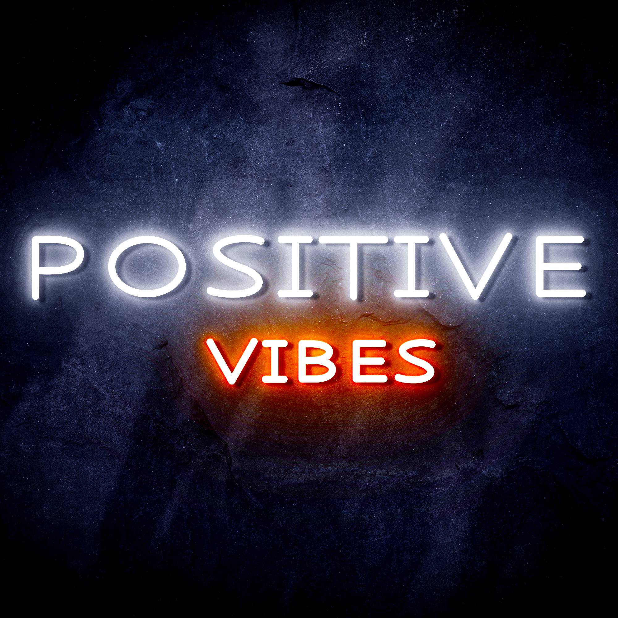 "POSITIVE VIBES" Text Quote LED Neon Sign
