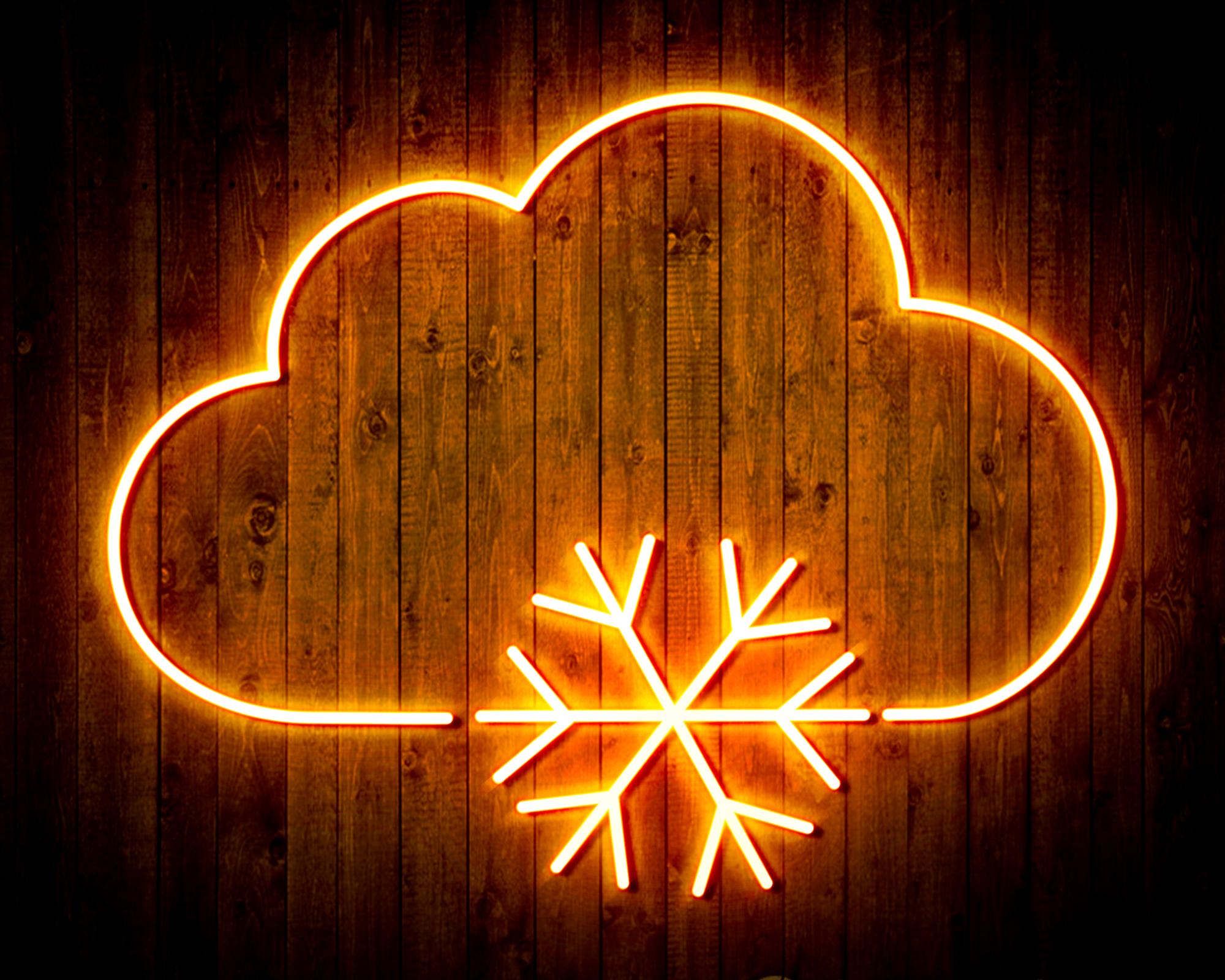 Cloud and Snowflake LED Neon Sign Wall Light