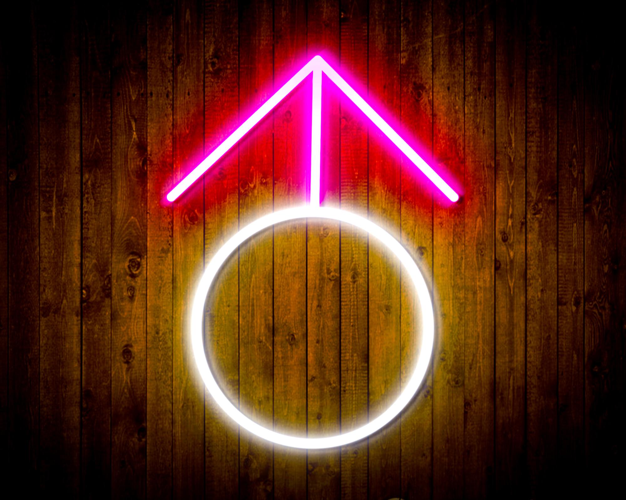 Male Symbol LED Neon Sign Wall Light