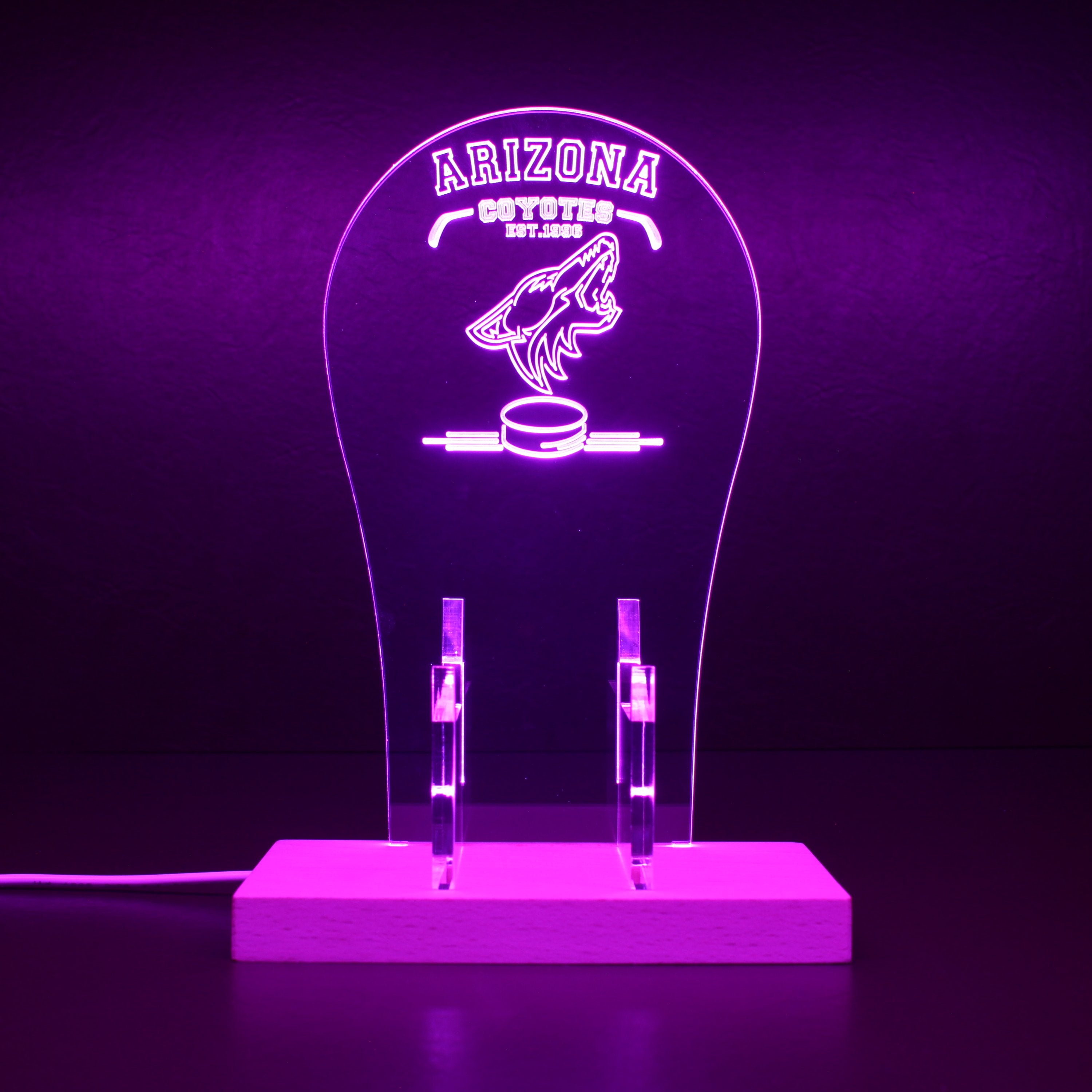 Custom Your NFL Sport Team Arizona Coyotes Est.1996 RGB LED Gaming Headset Controller Stand