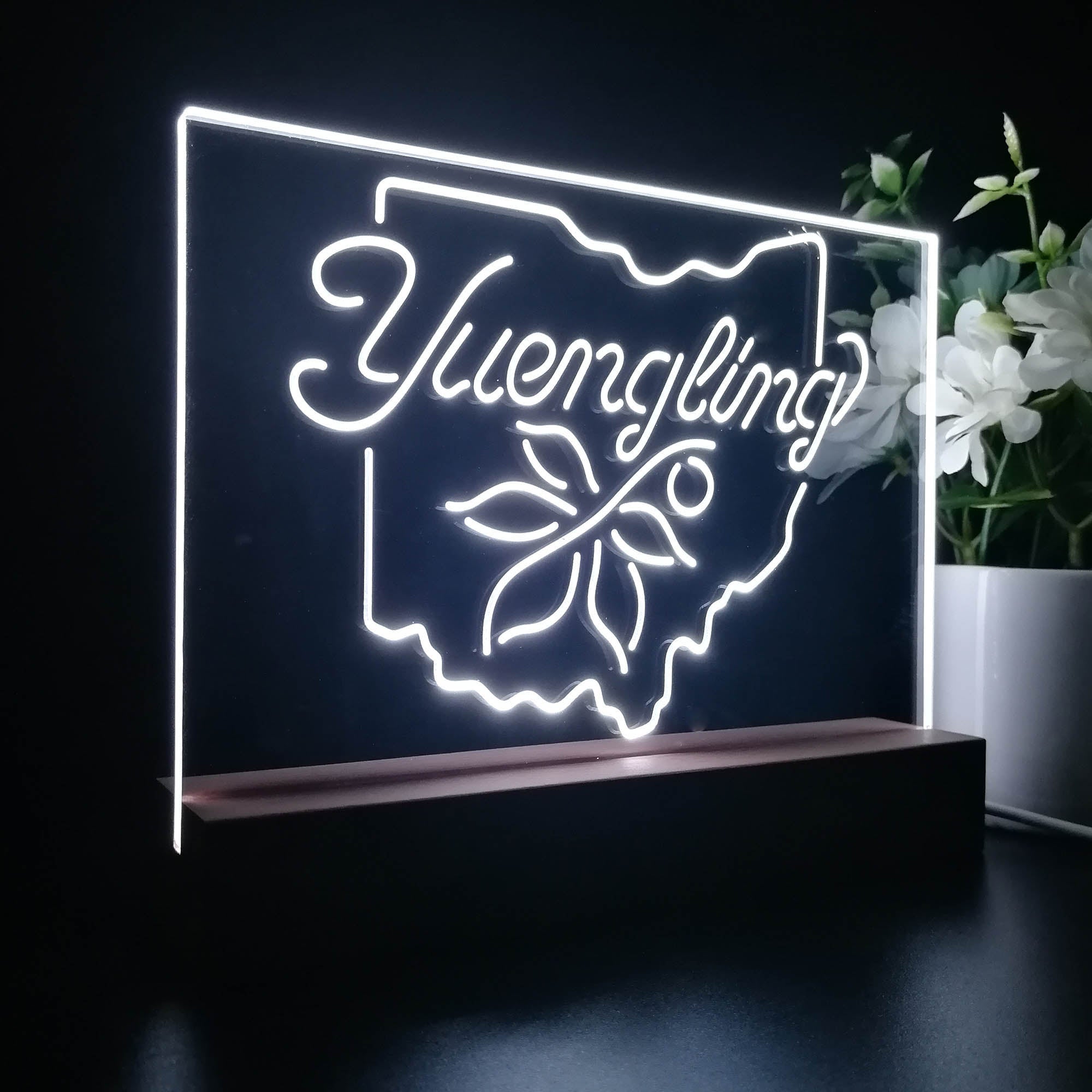 Yuengling Ohio State Buckeye Larger Beer Night Light 3D Illusion Lamp Home Bar Decor