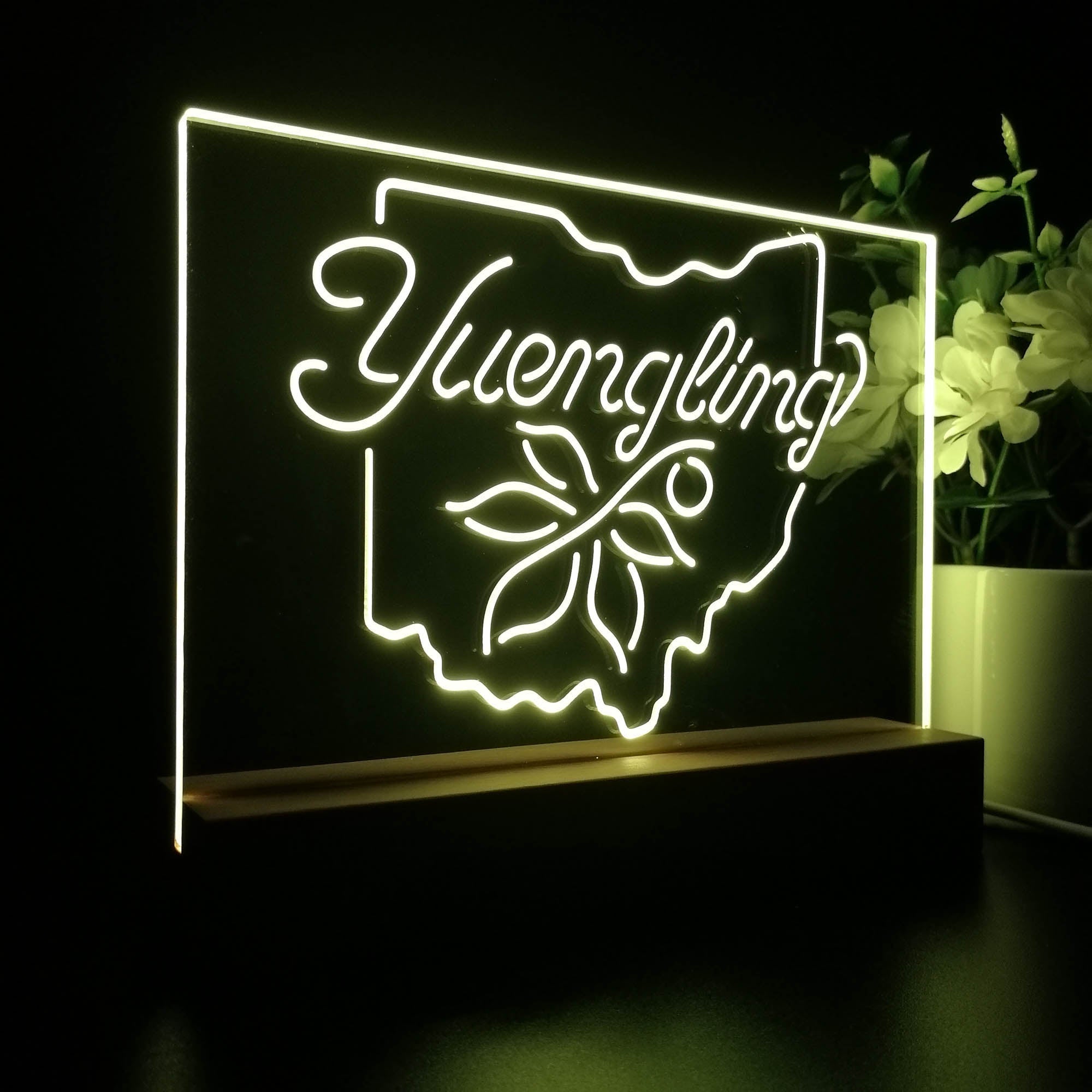 Yuengling Ohio State Buckeye Larger Beer Night Light 3D Illusion Lamp Home Bar Decor