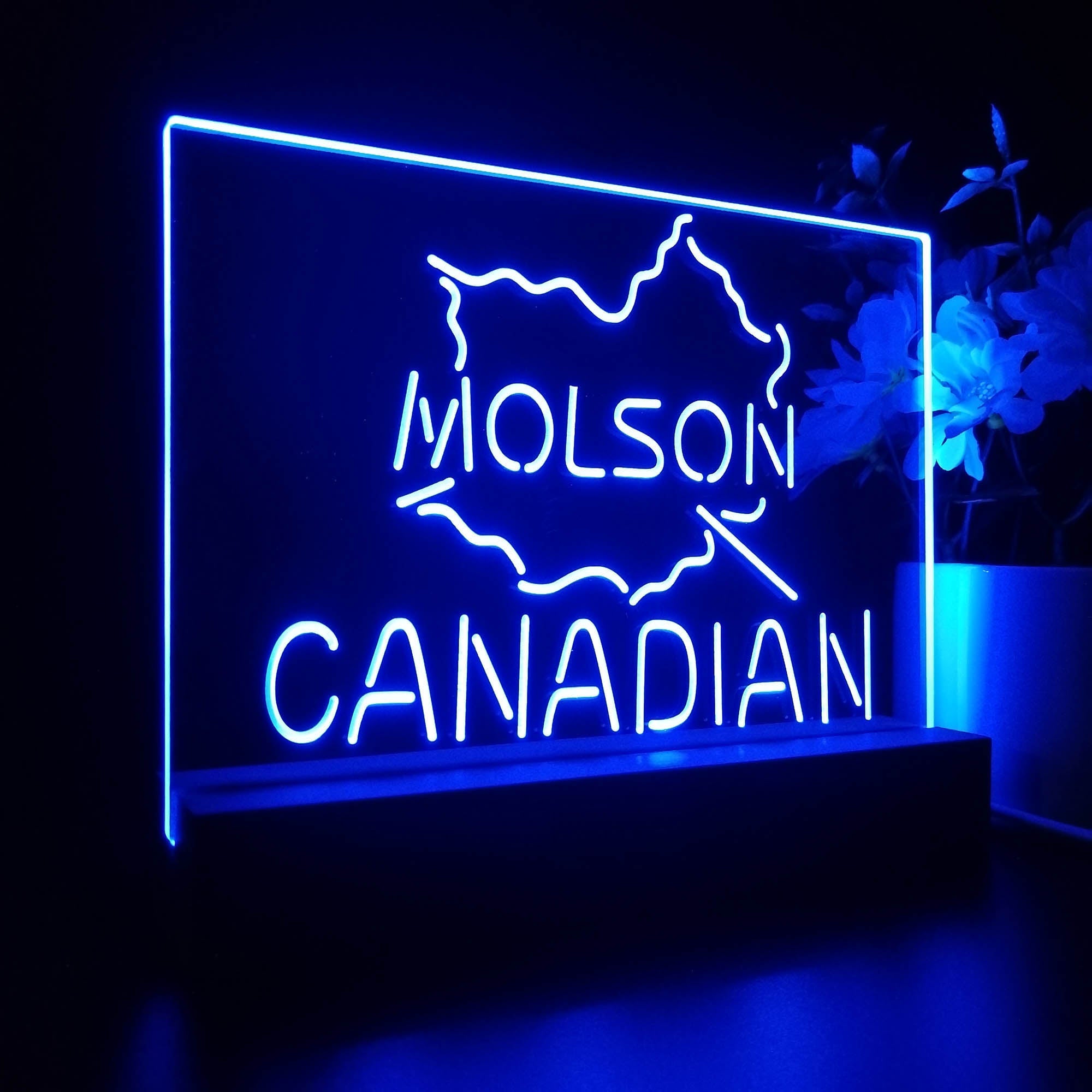 Molson Canadian Beer Bar Night Light 3D Illusion Lamp Home Bar Decor