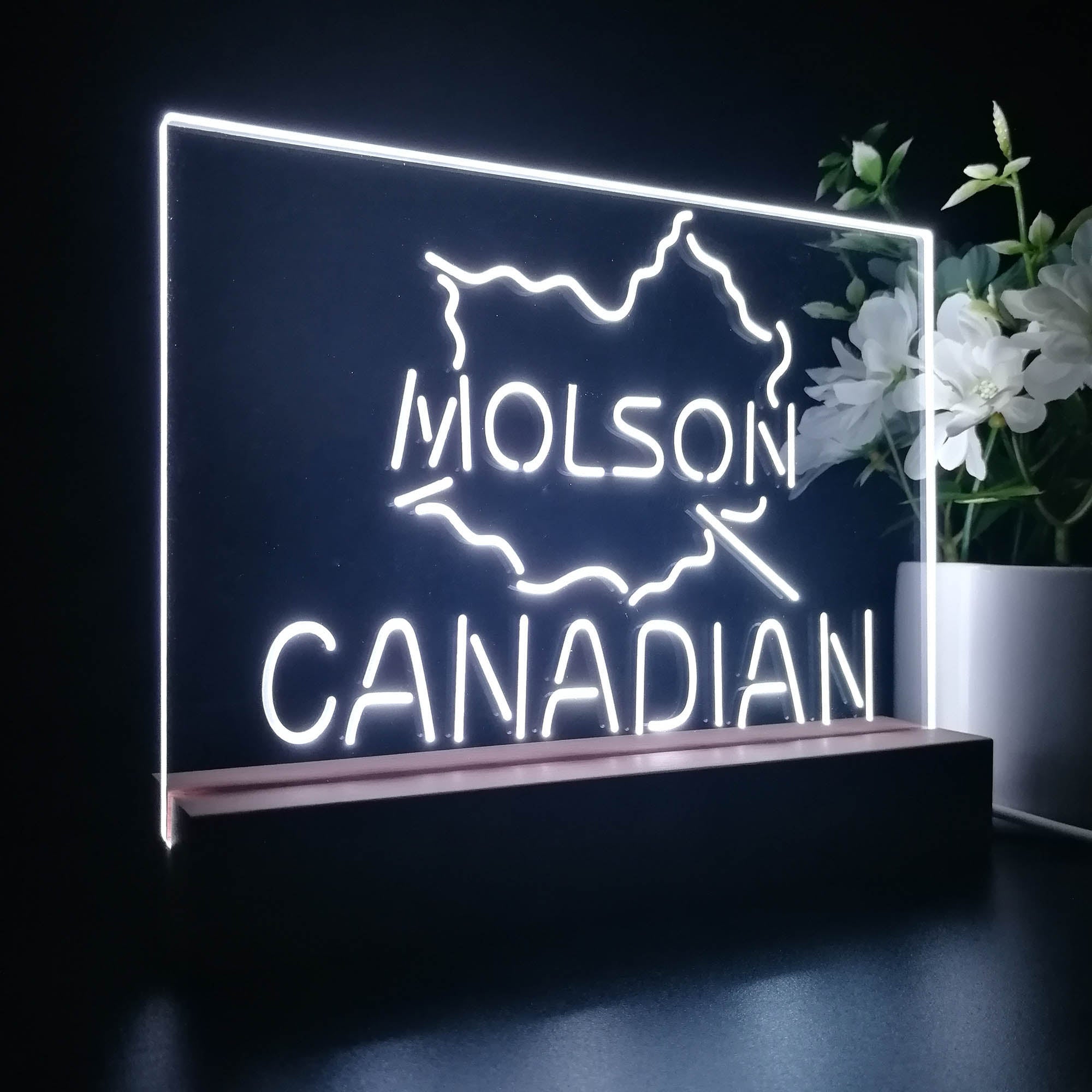 Molson Canadian Beer Bar Night Light 3D Illusion Lamp Home Bar Decor