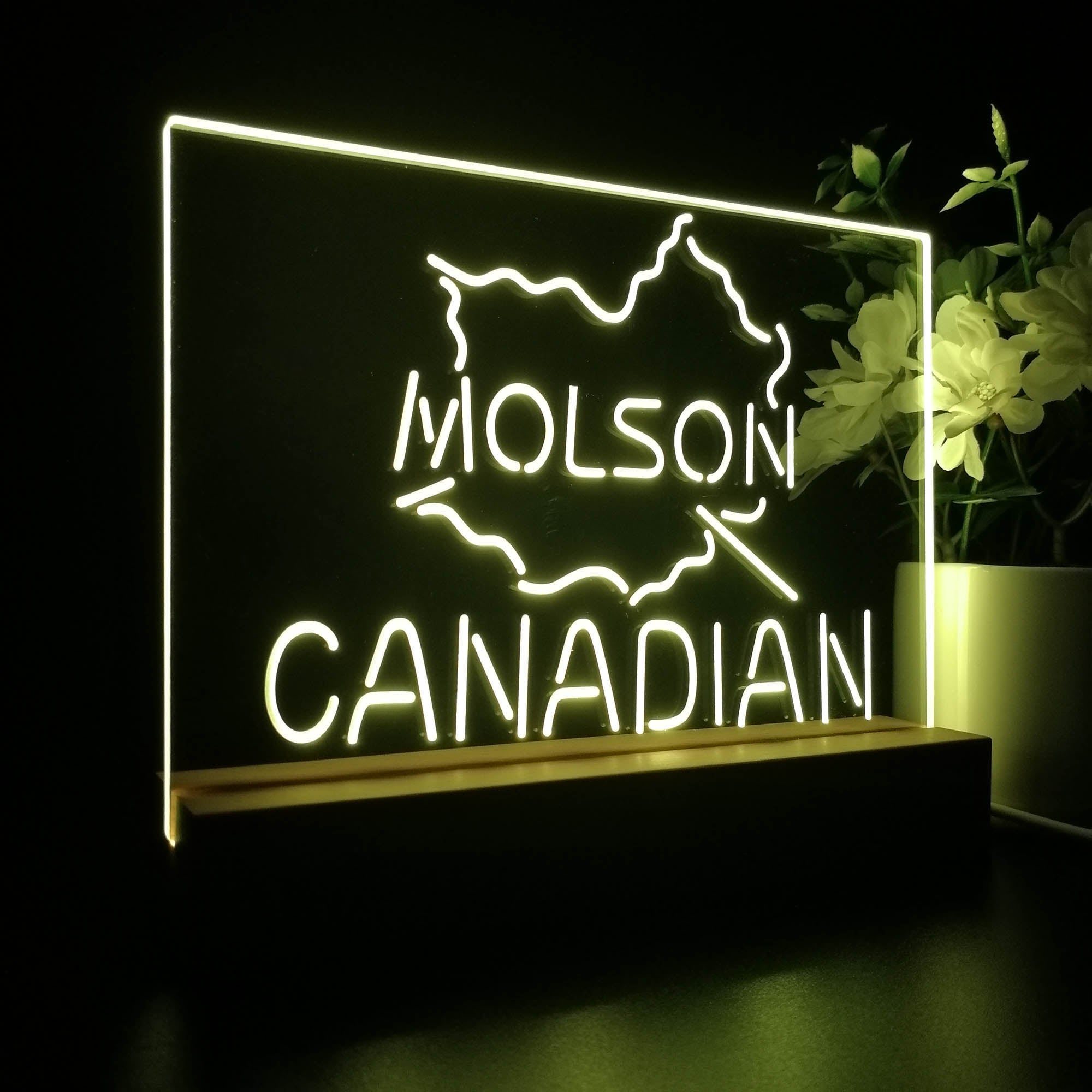 Molson Canadian Beer Bar Night Light 3D Illusion Lamp Home Bar Decor