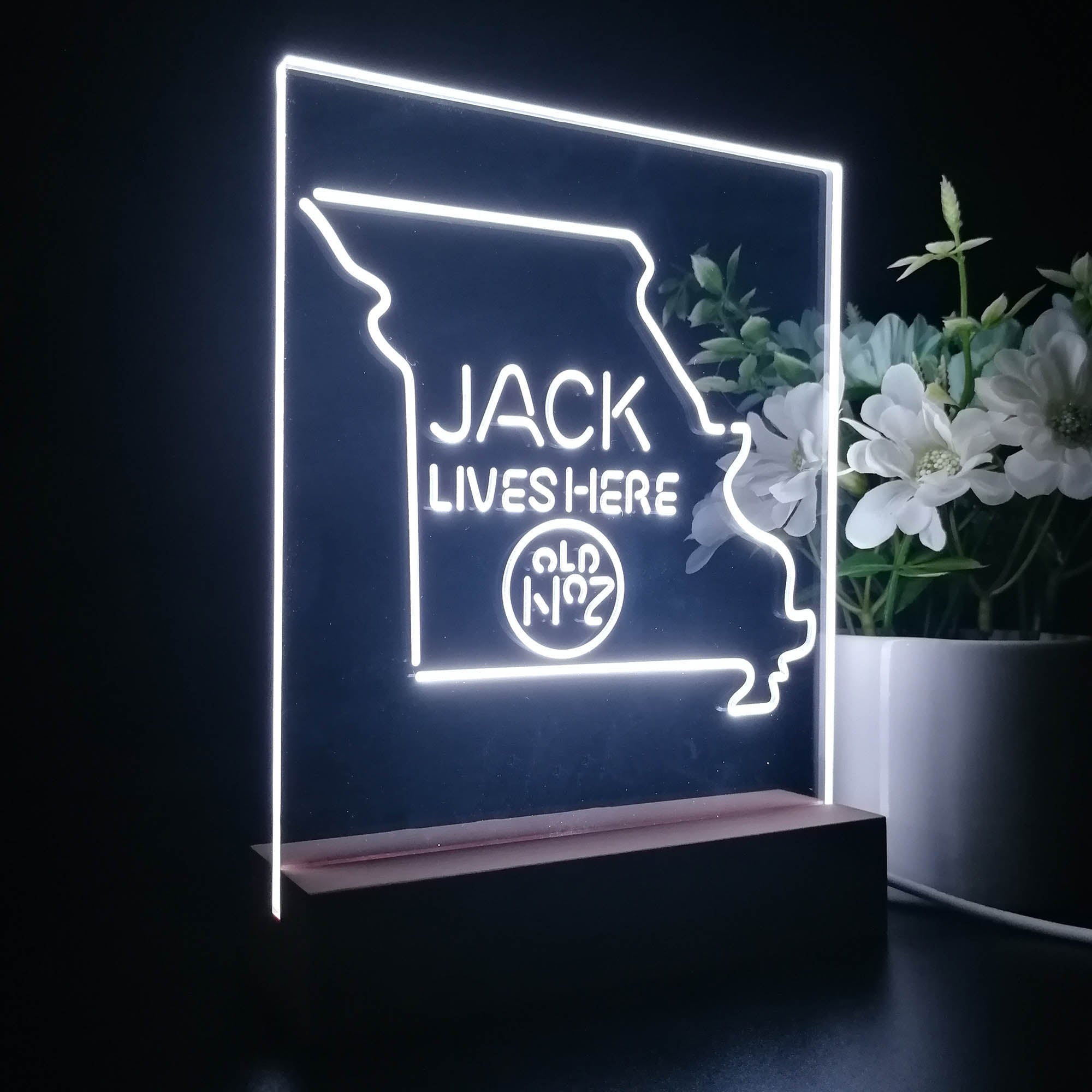 Missouri Jack Lives Here Night Light LED Sign