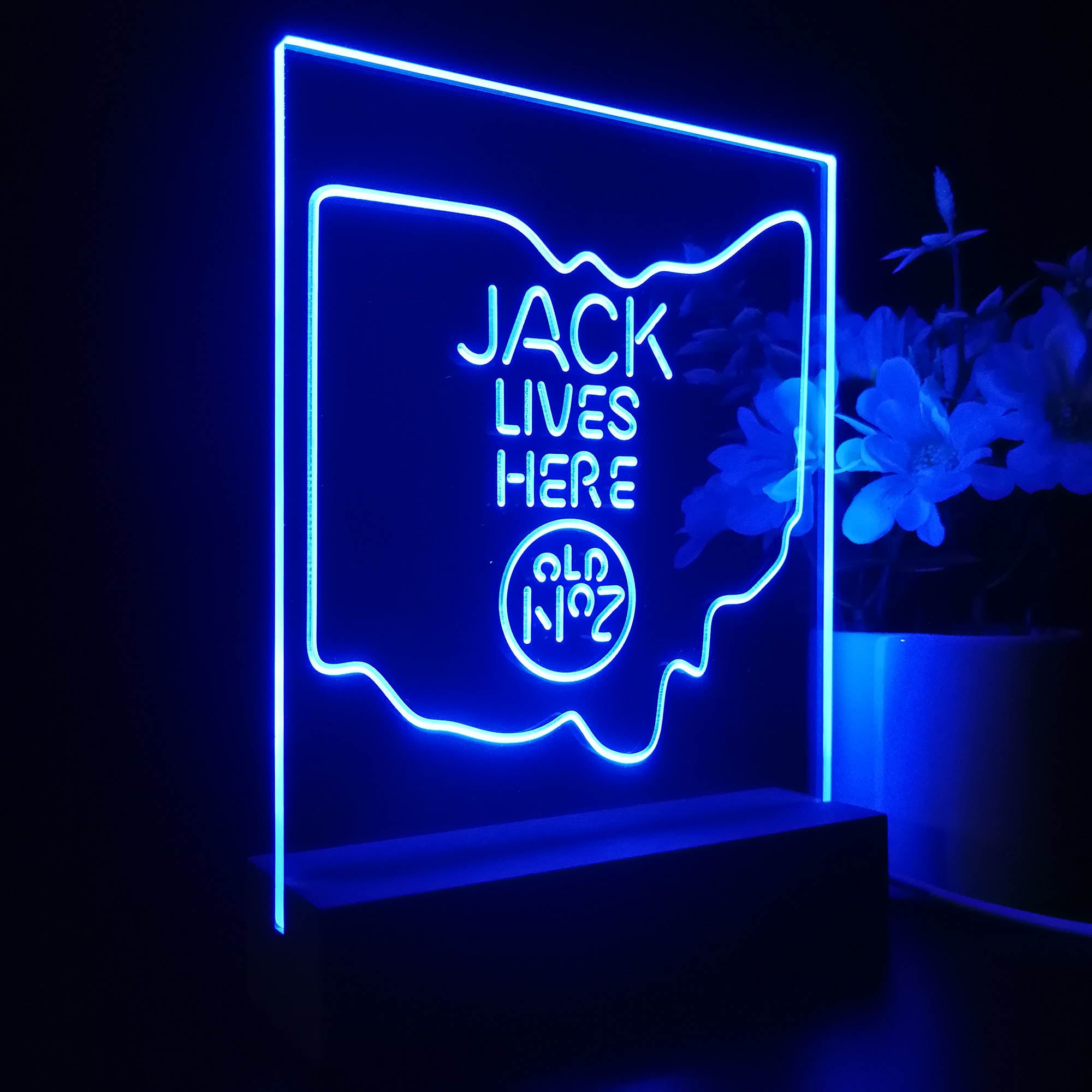 Ohio Jack Lives Here Night Light LED Sign