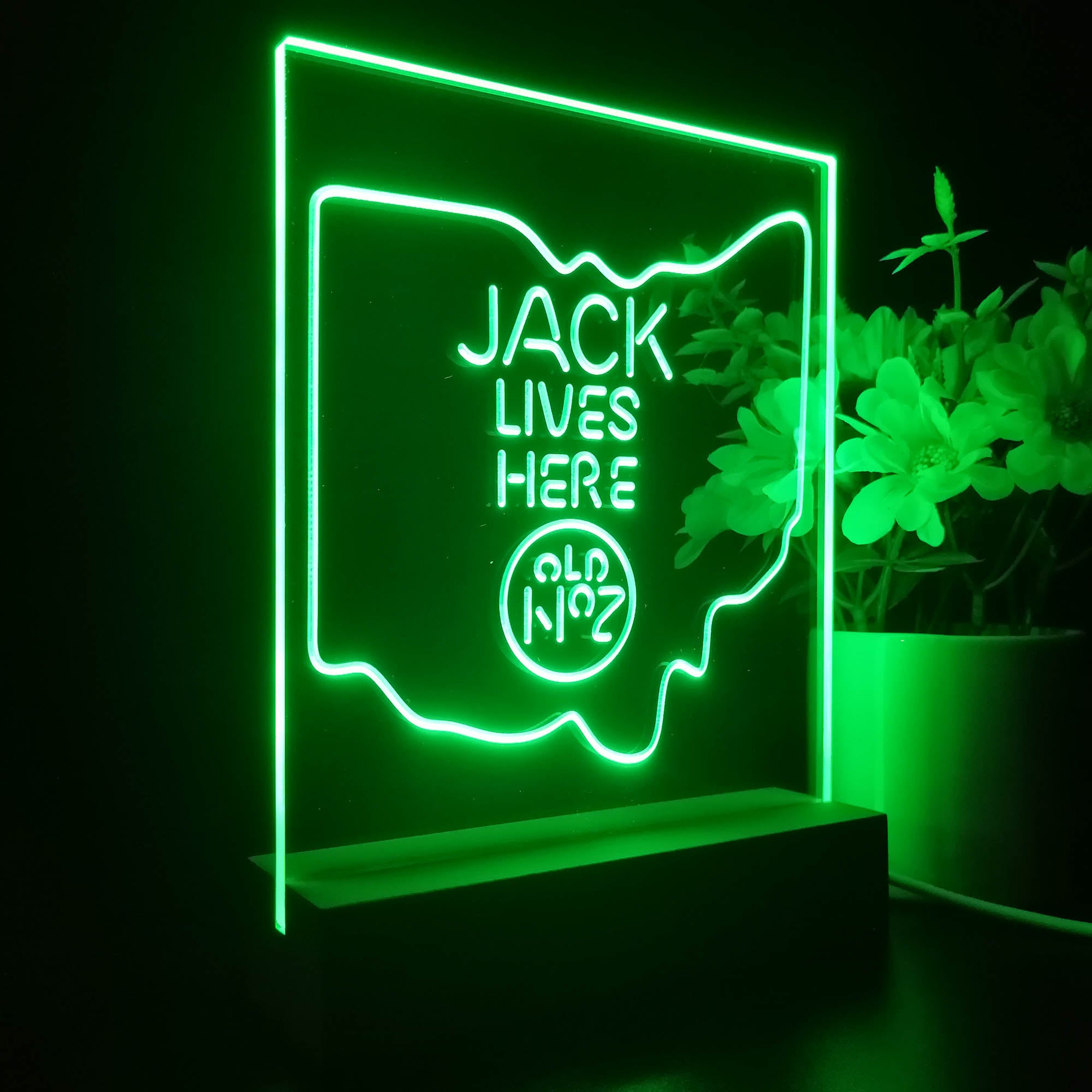 Ohio Jack Lives Here Night Light LED Sign