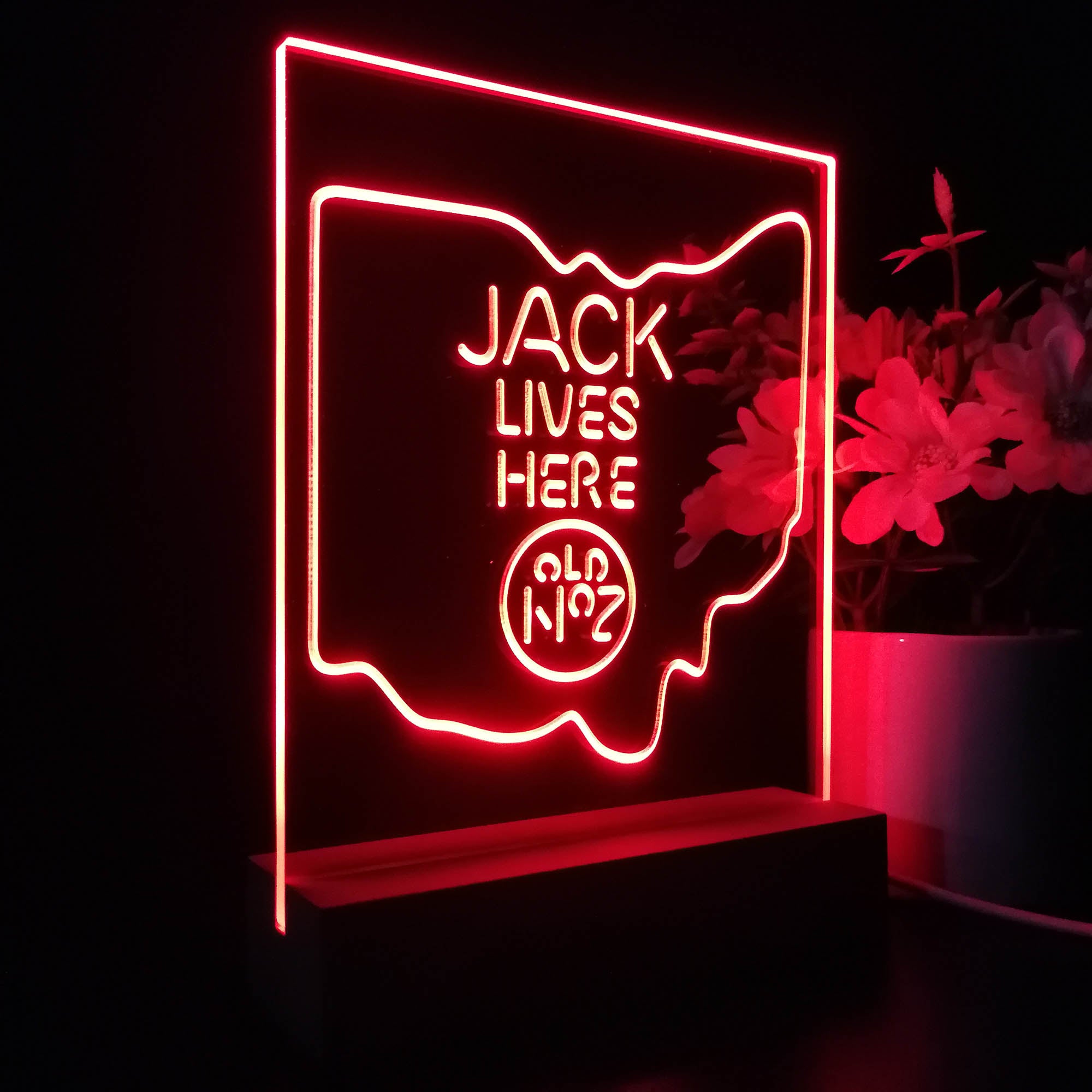 Ohio Jack Lives Here Night Light LED Sign