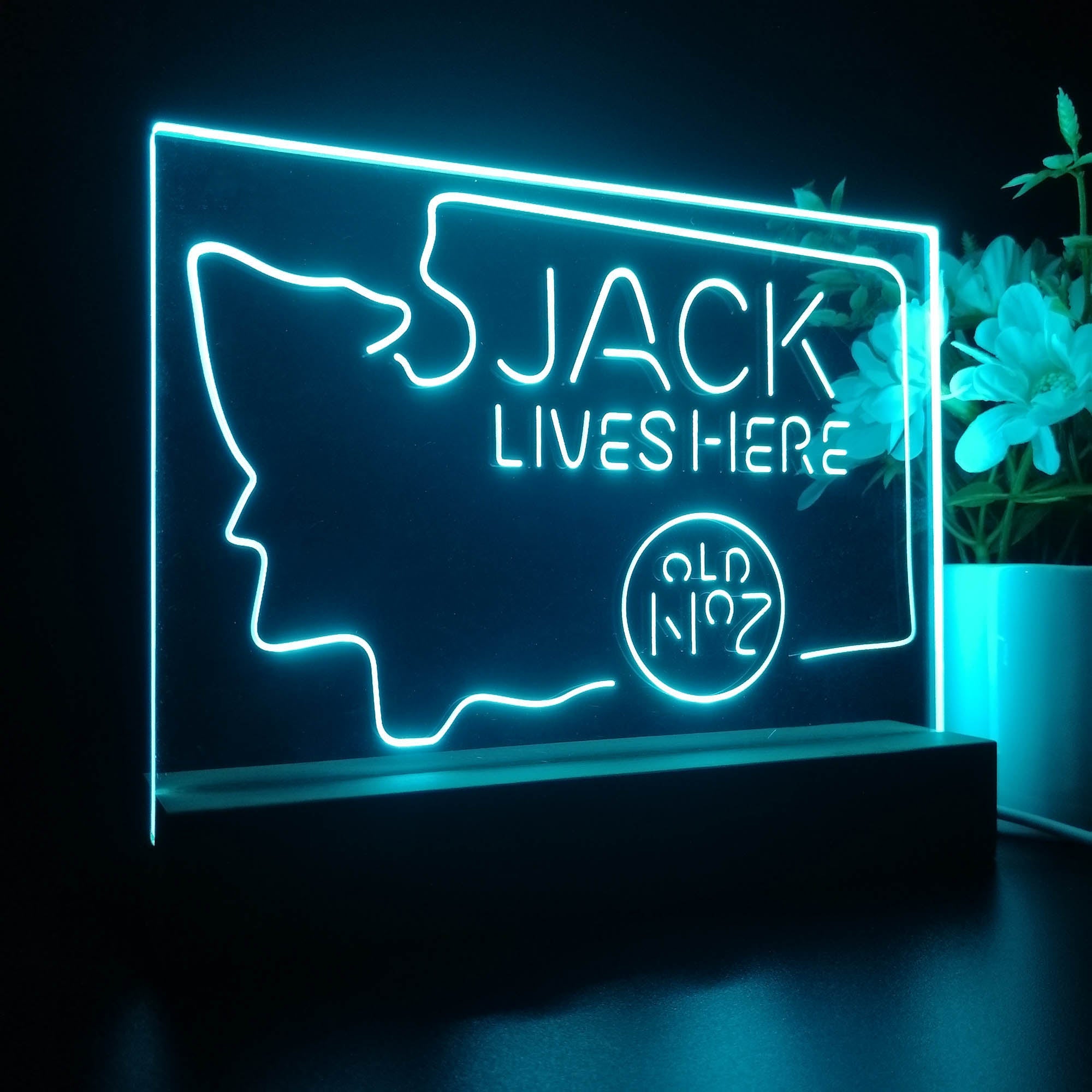 Washington Jack Daniels Night Light LED Sign