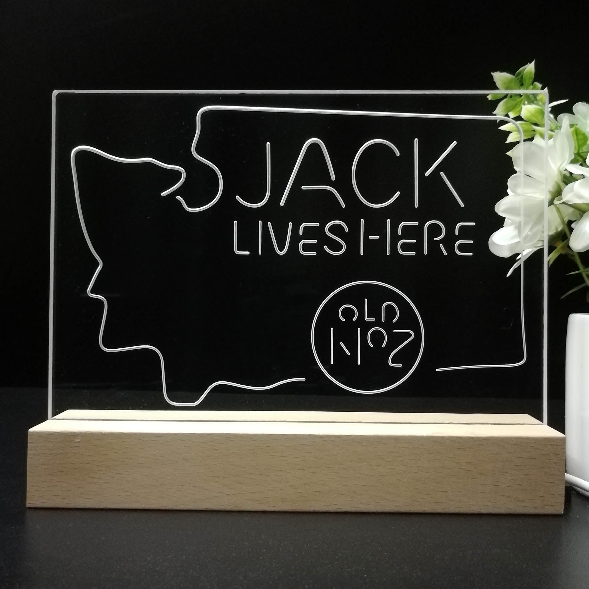 Washington Jack Daniels Night Light LED Sign