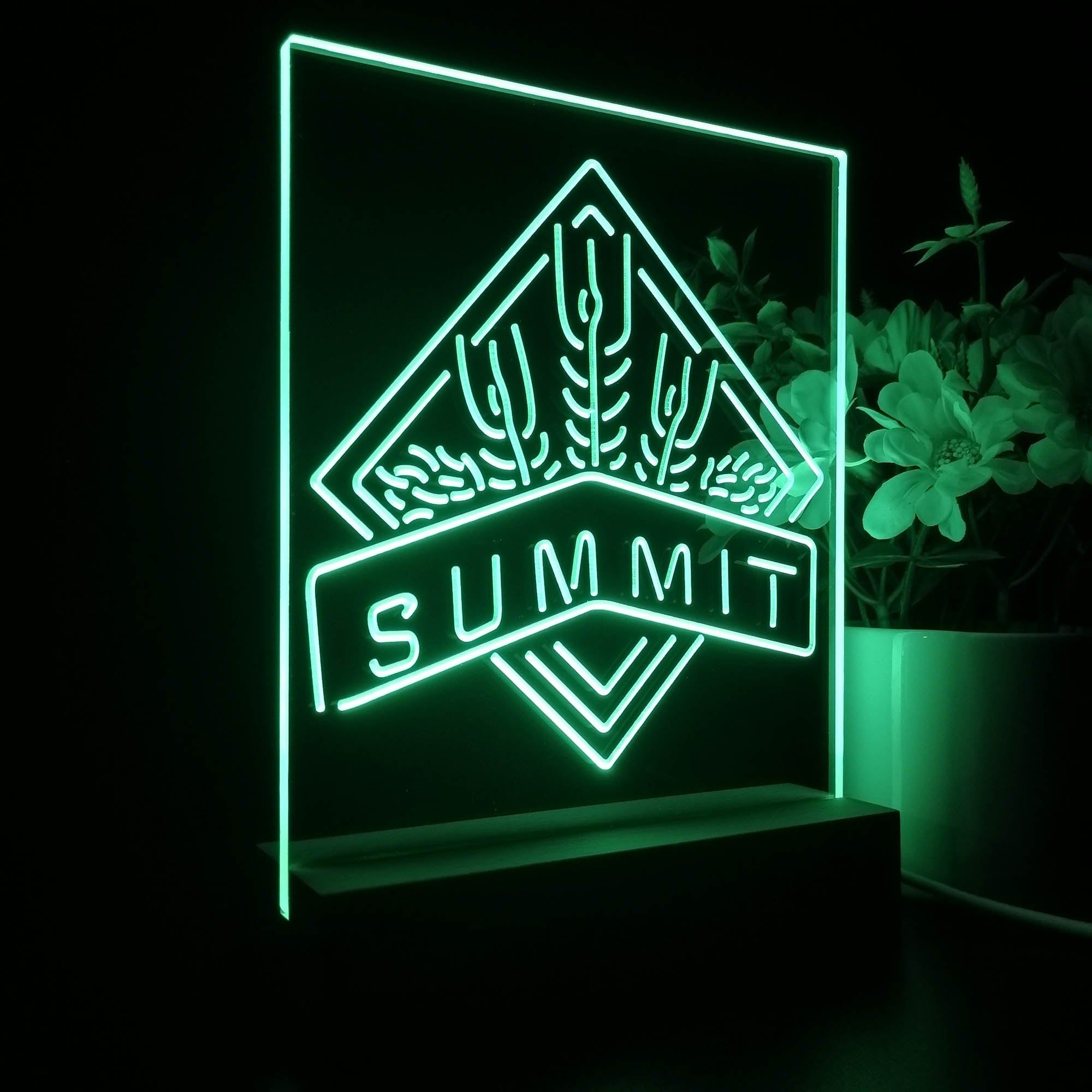 Summit Brewing Co Night Light LED Sign