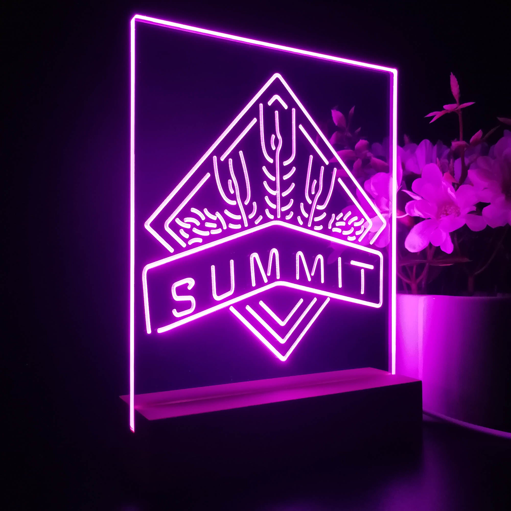 Summit Brewing Co Night Light LED Sign