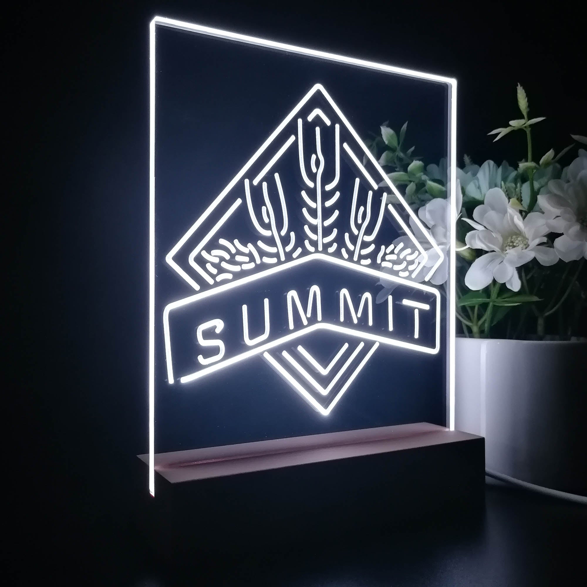 Summit Brewing Co Night Light LED Sign