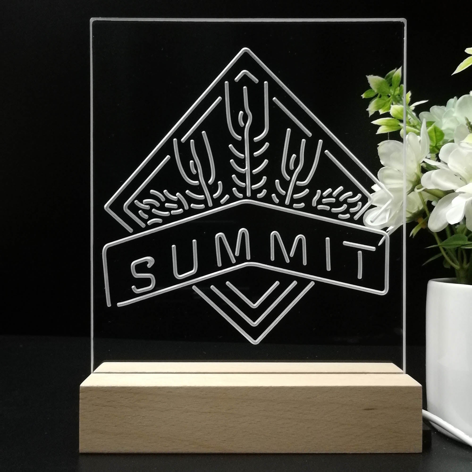 Summit Brewing Co Night Light LED Sign