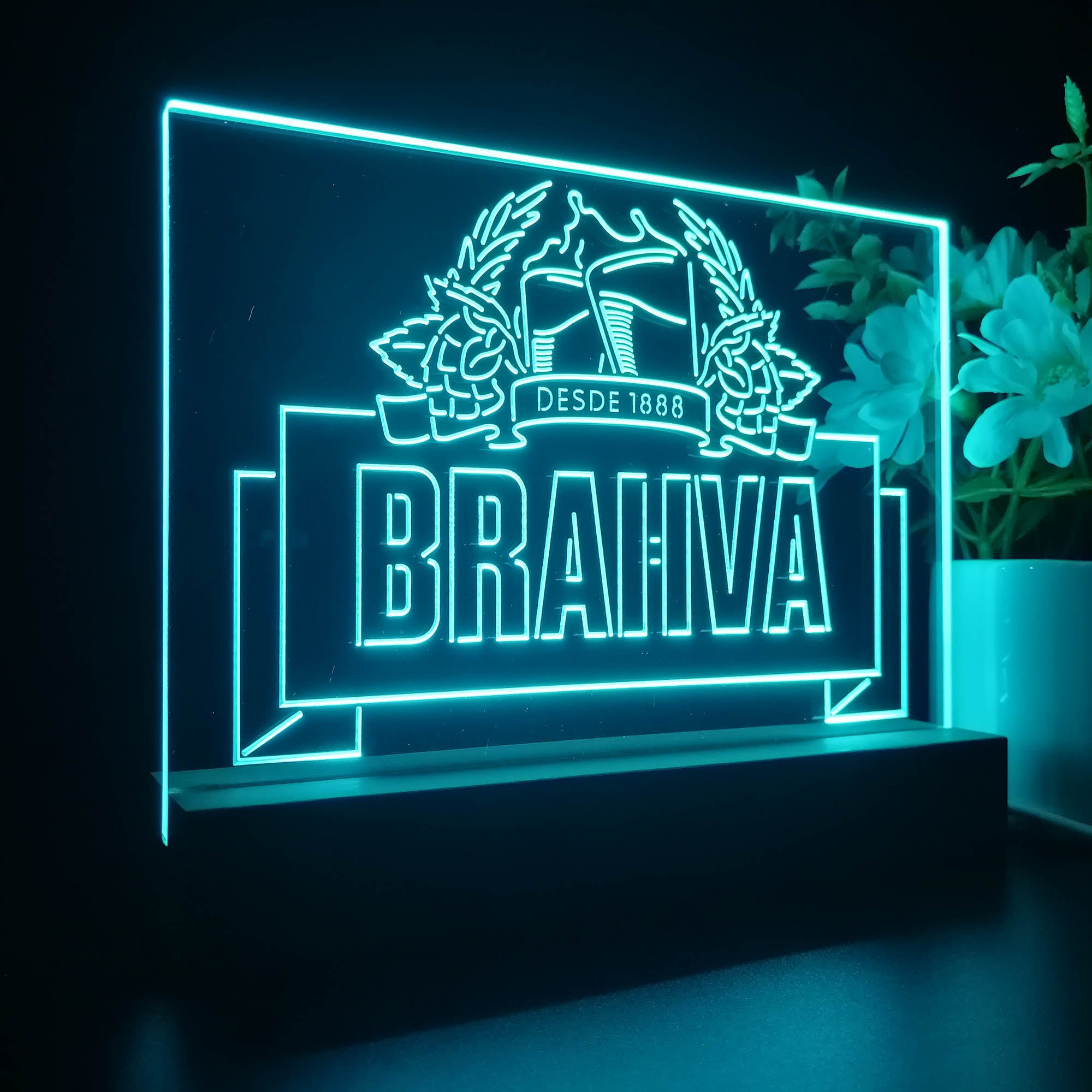 Brahva Night Light LED Sign