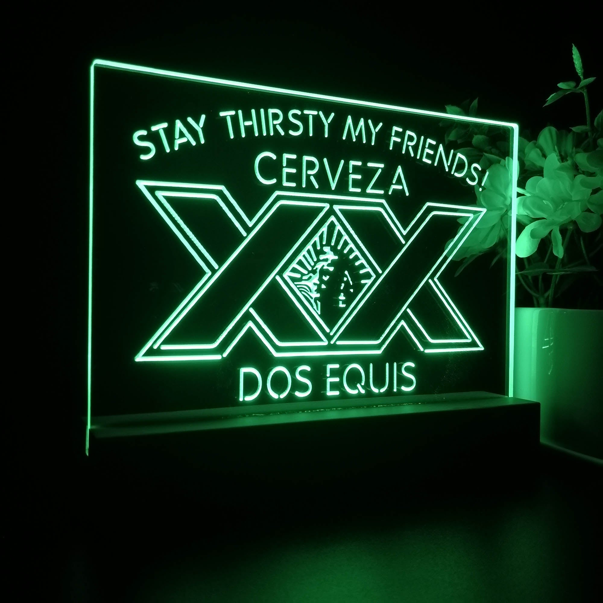 XXs Doss Equiss Stay Thirsty My Friends Night Light LED Sign