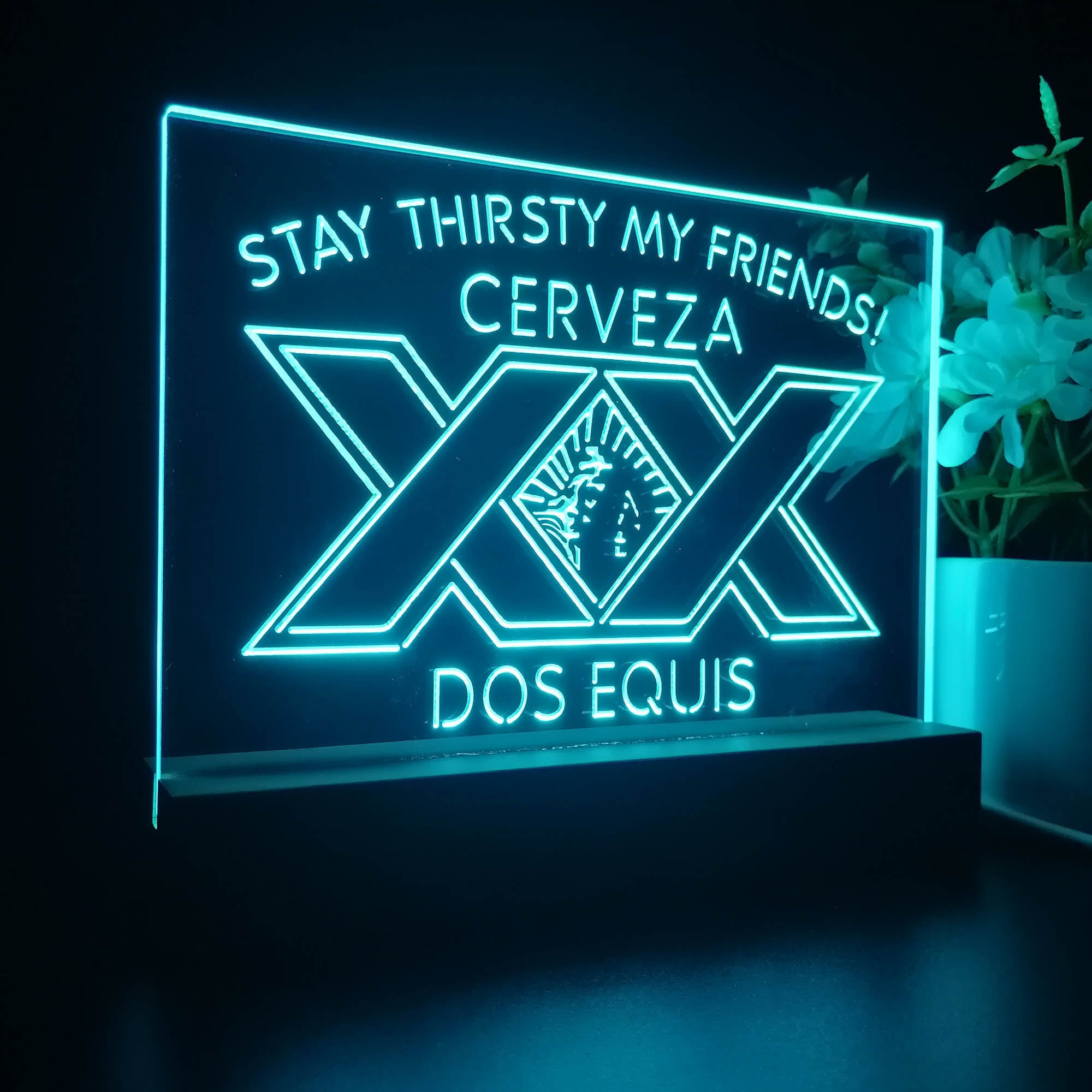 XXs Doss Equiss Stay Thirsty My Friends Night Light LED Sign