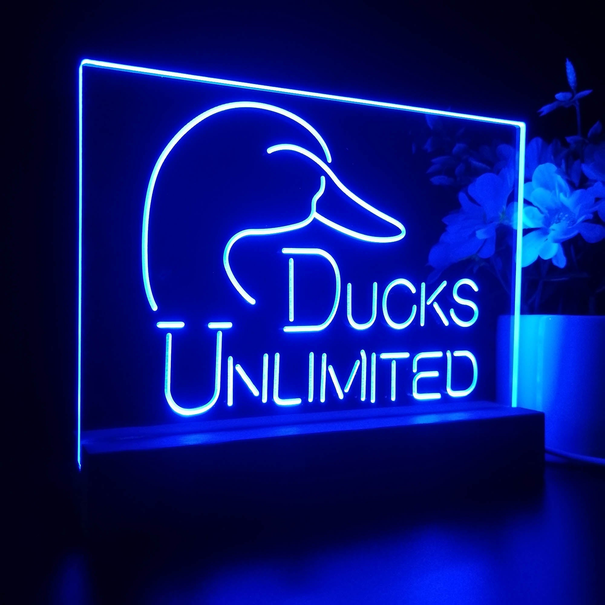 Ducks Unlimited Sport Team Night Lamp 3D Illusion Lamp
