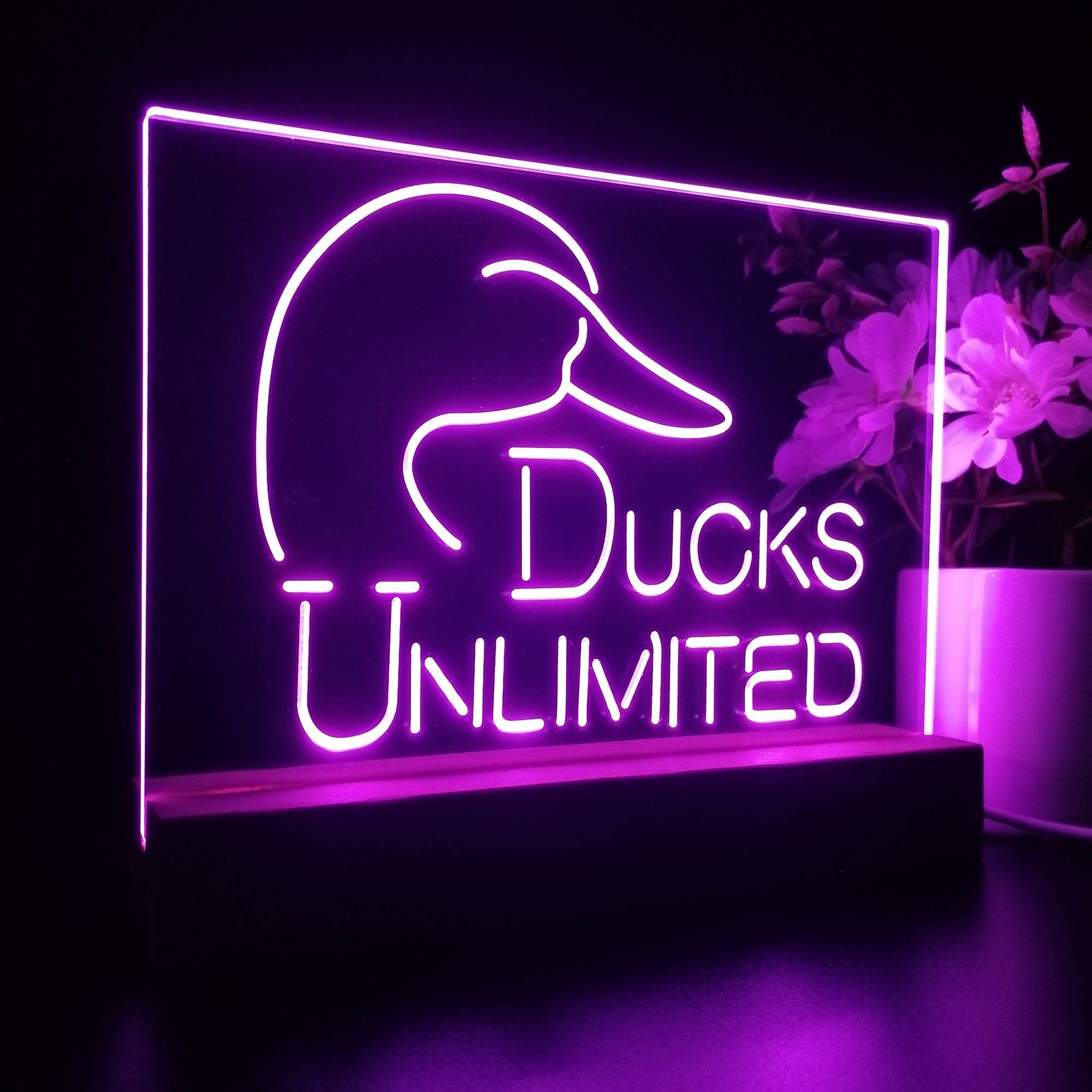 Ducks Unlimited Sport Team Night Lamp 3D Illusion Lamp