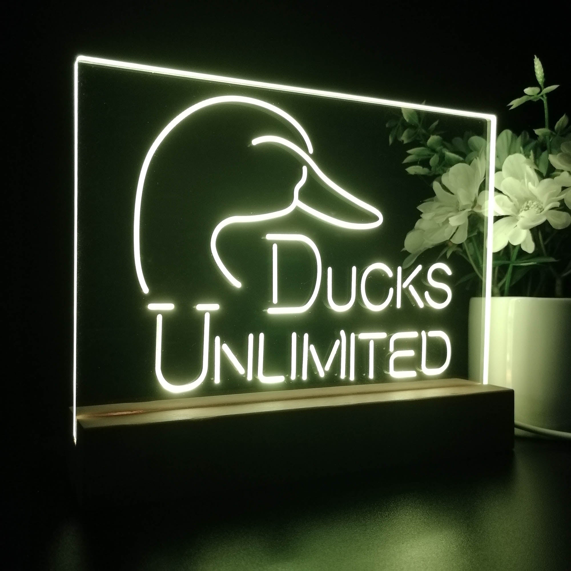 Ducks Unlimited Sport Team Night Lamp 3D Illusion Lamp