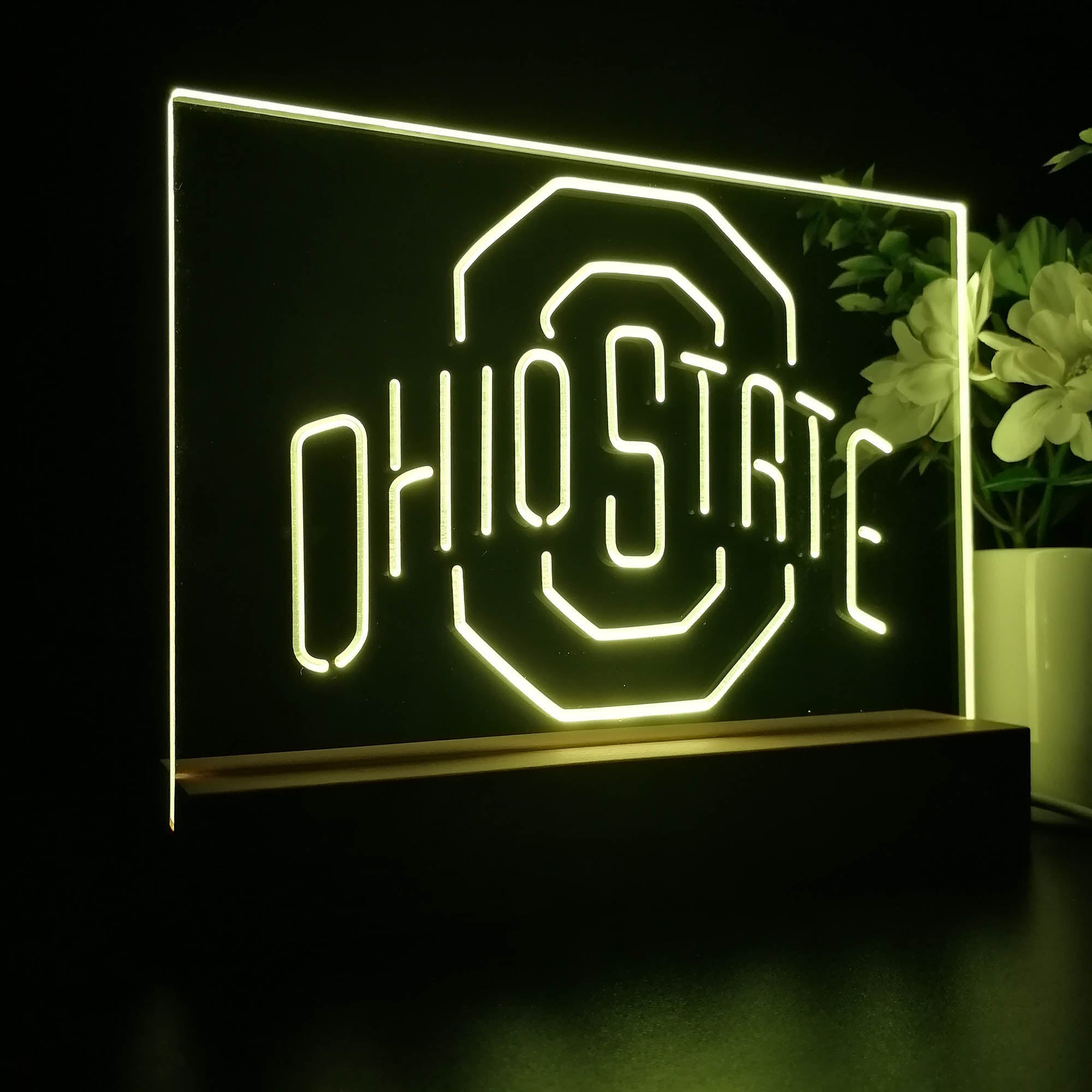 Ohio State Buckeyes Sport Team Night Lamp 3D Illusion Lamp