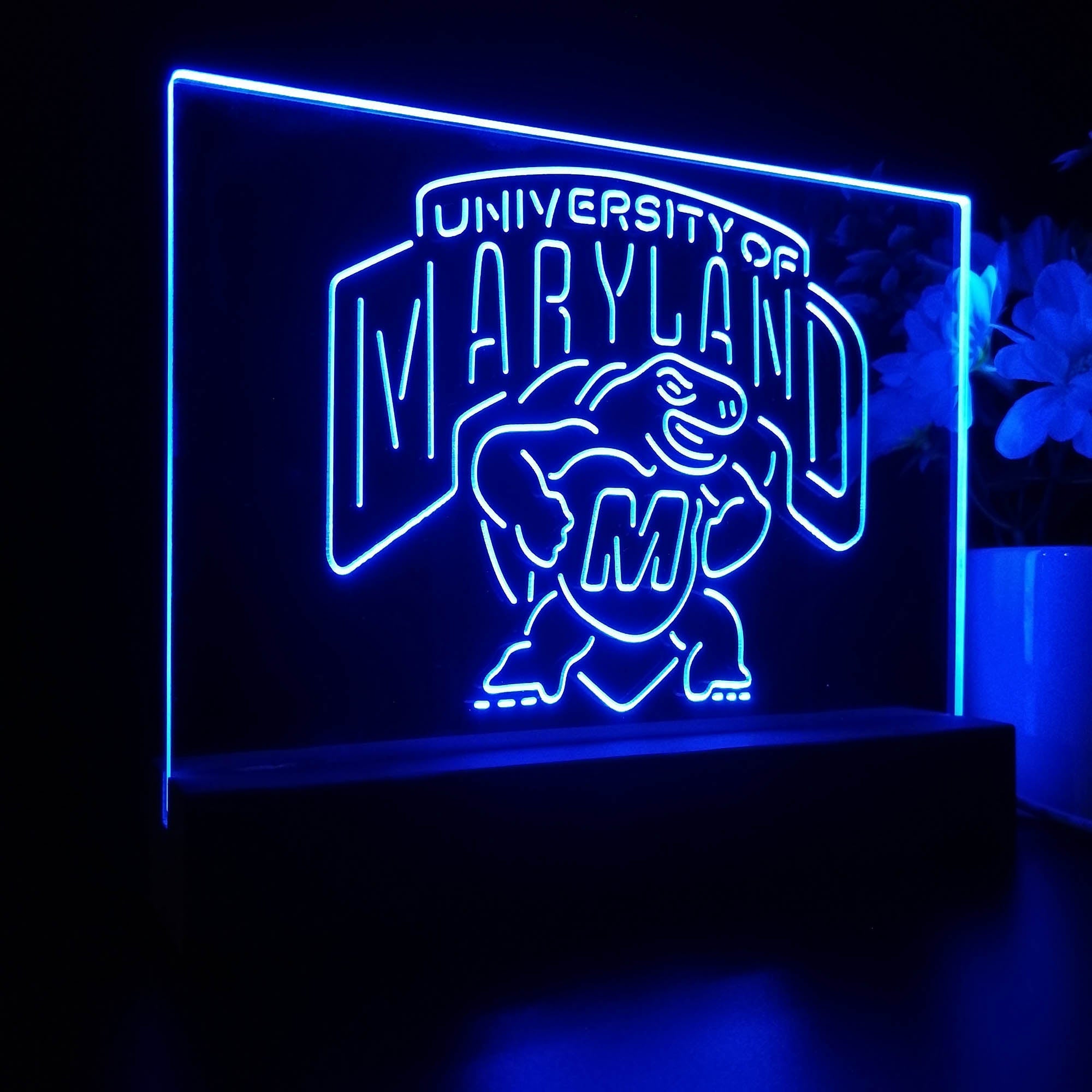 University of Maryland Terrapins Sport Team Night Lamp 3D Illusion Lamp