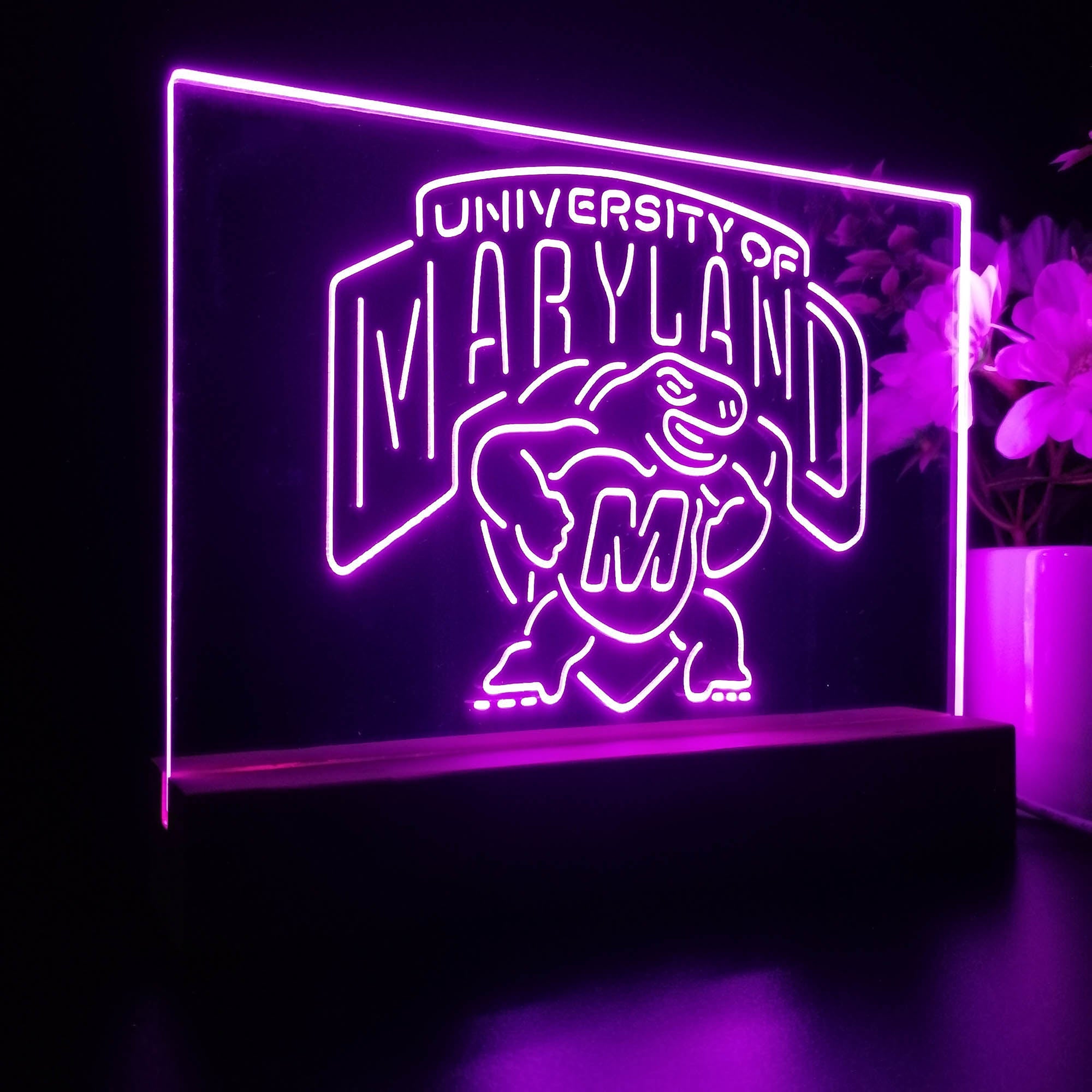 University of Maryland Terrapins Sport Team Night Lamp 3D Illusion Lamp