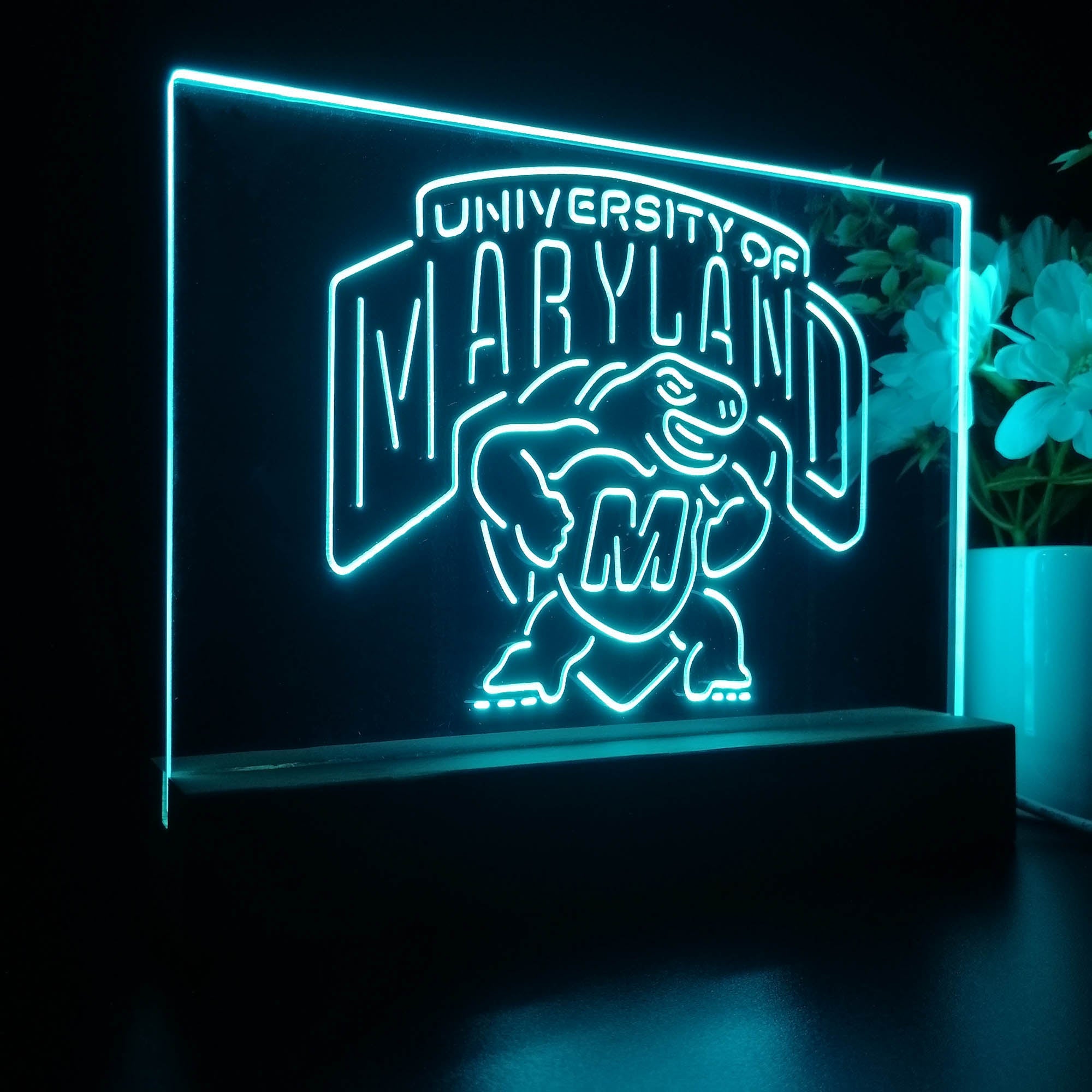 University of Maryland Terrapins Sport Team Night Lamp 3D Illusion Lamp