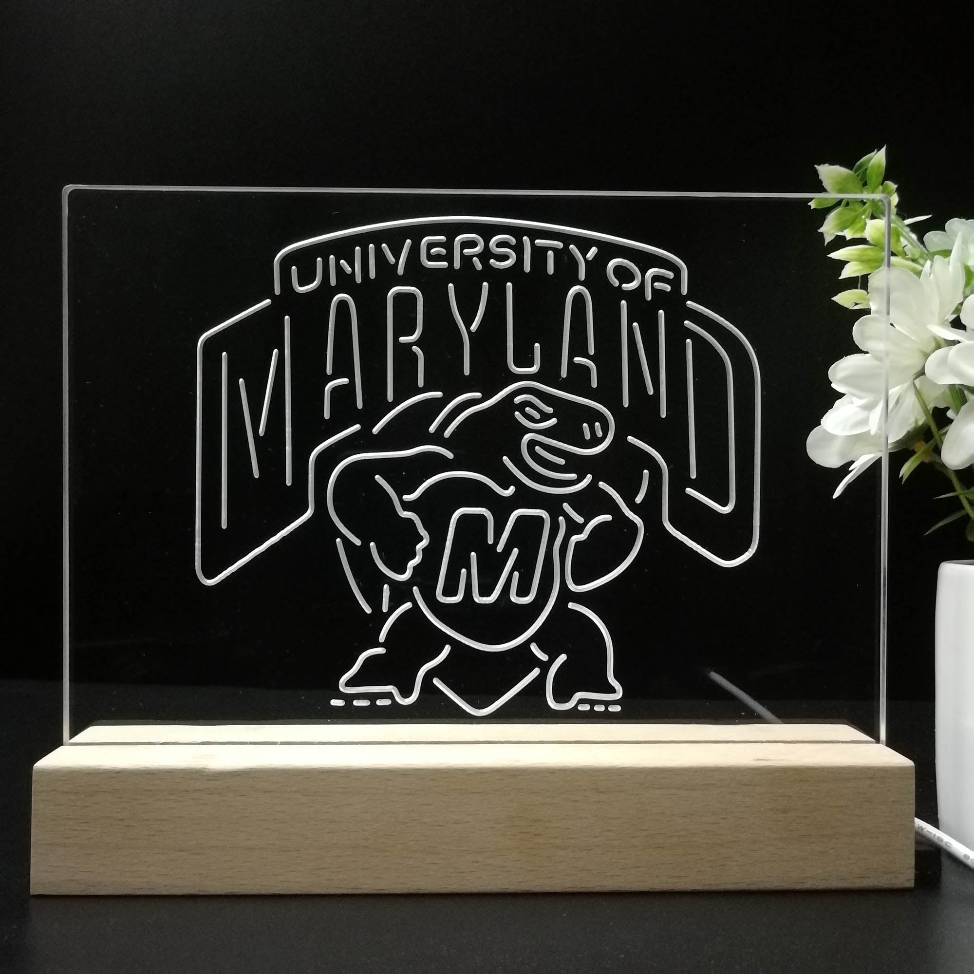 University of Maryland Terrapins Sport Team Night Lamp 3D Illusion Lamp