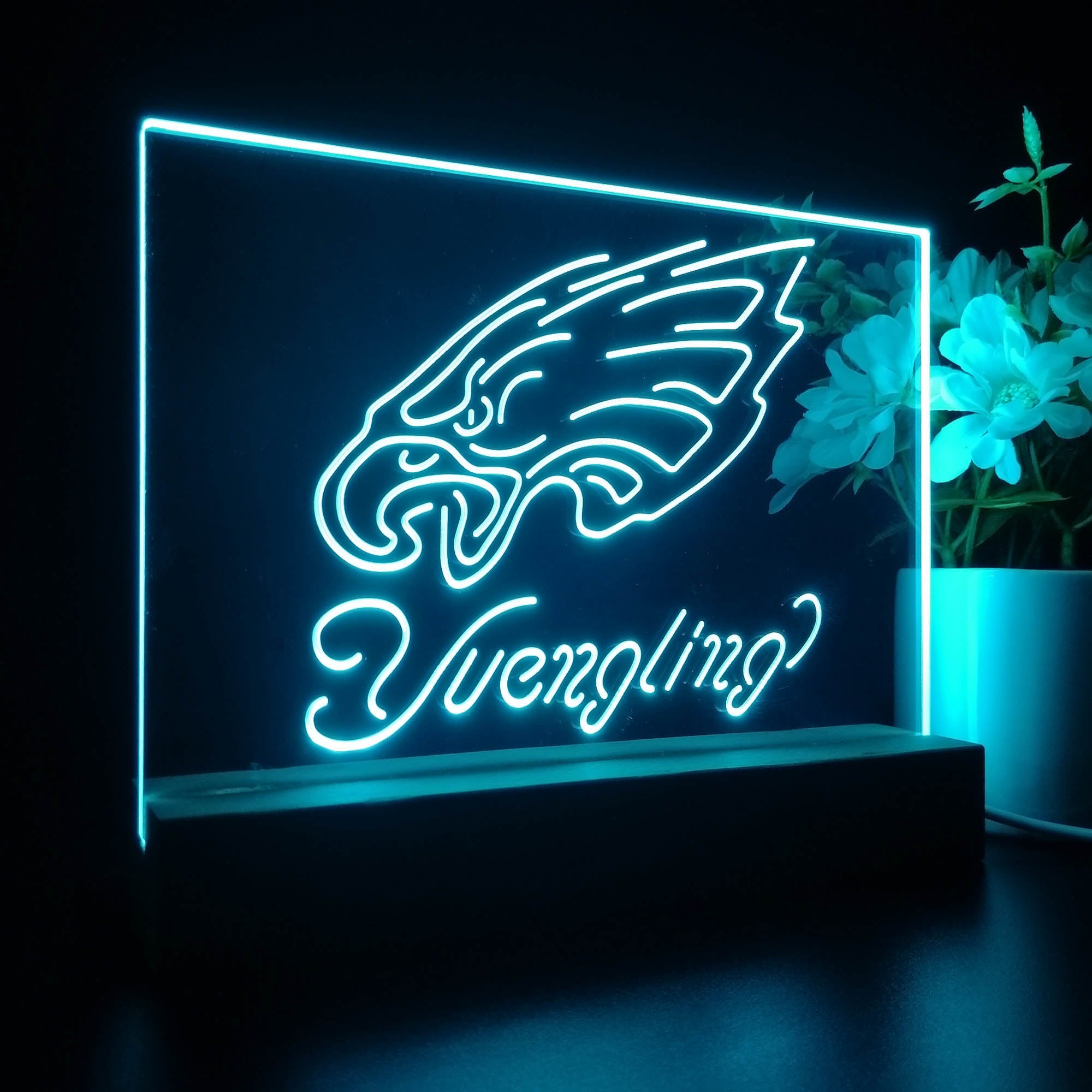 Yuengling Philadelphia Eagle Sport Team Night Lamp 3D Illusion Lamp