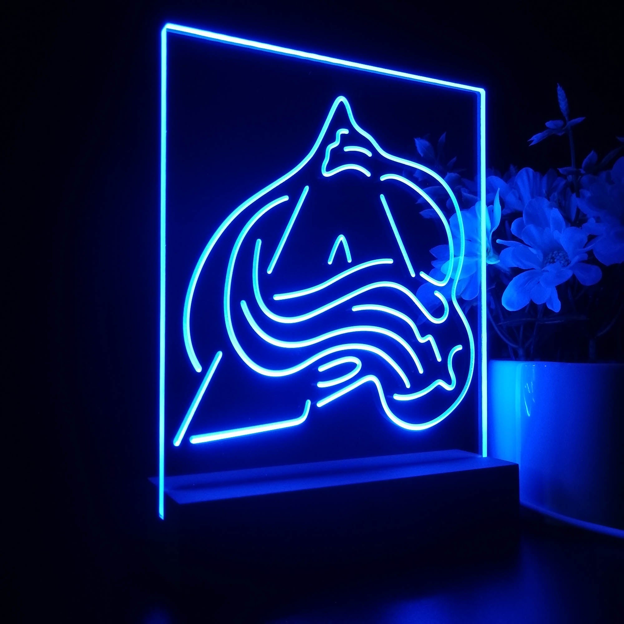 CA Hockey Sport Team Night Lamp 3D Illusion Lamp