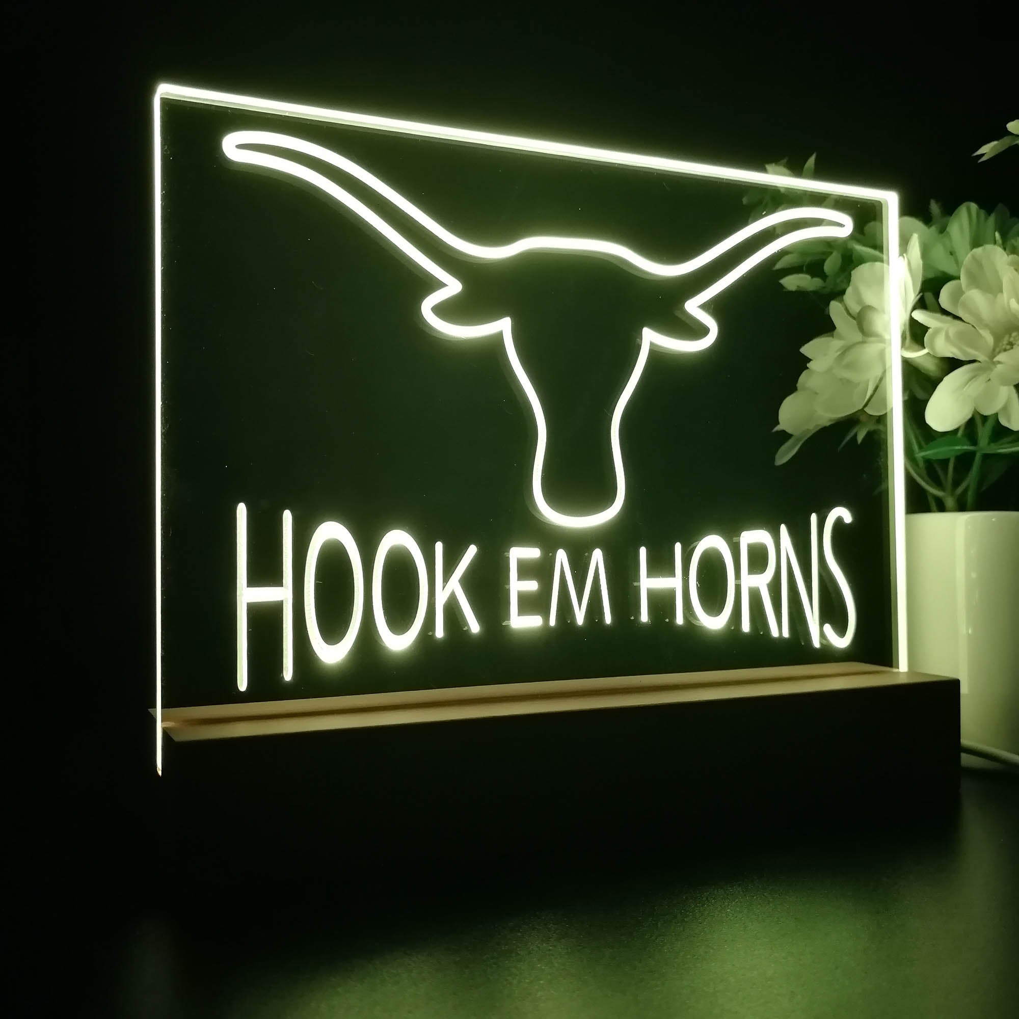 Hook Em Horns University of Texas Sport Team Night Lamp 3D Illusion Lamp