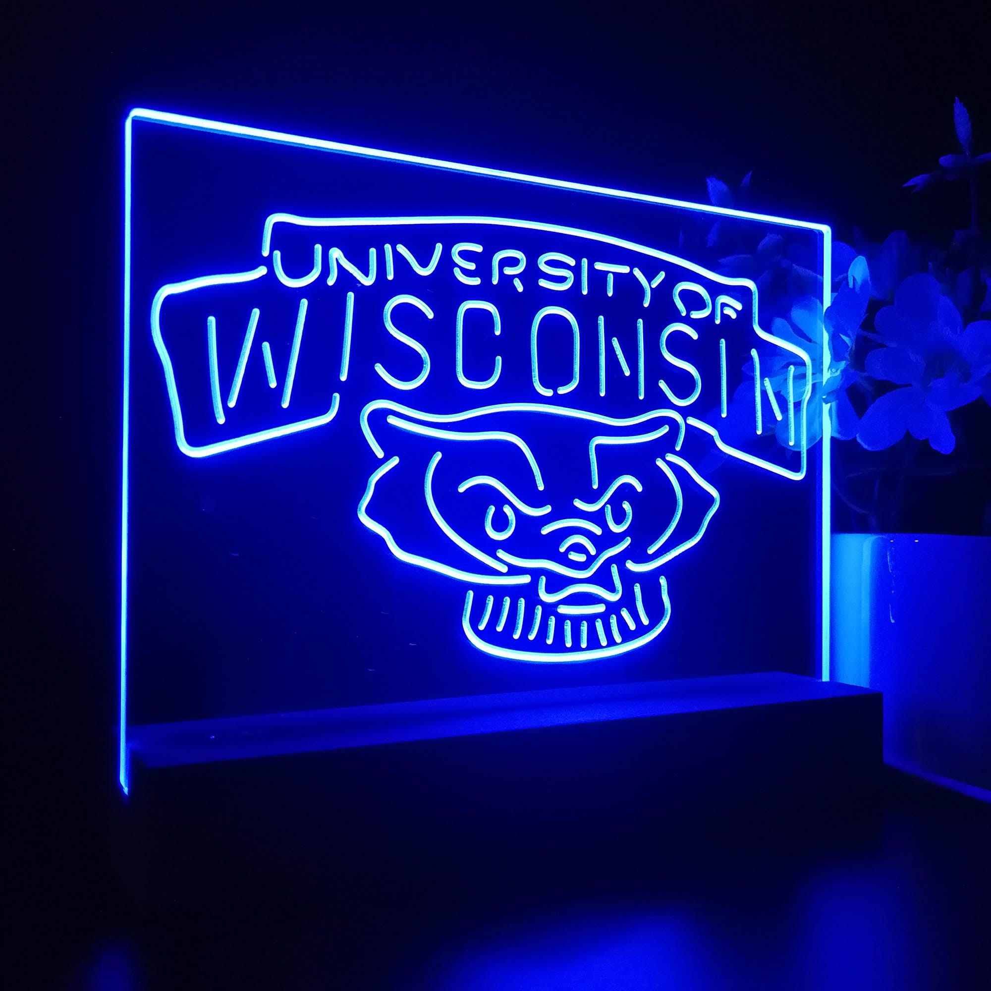 Wisconsin Badgers Sport Team Night Lamp 3D Illusion Lamp