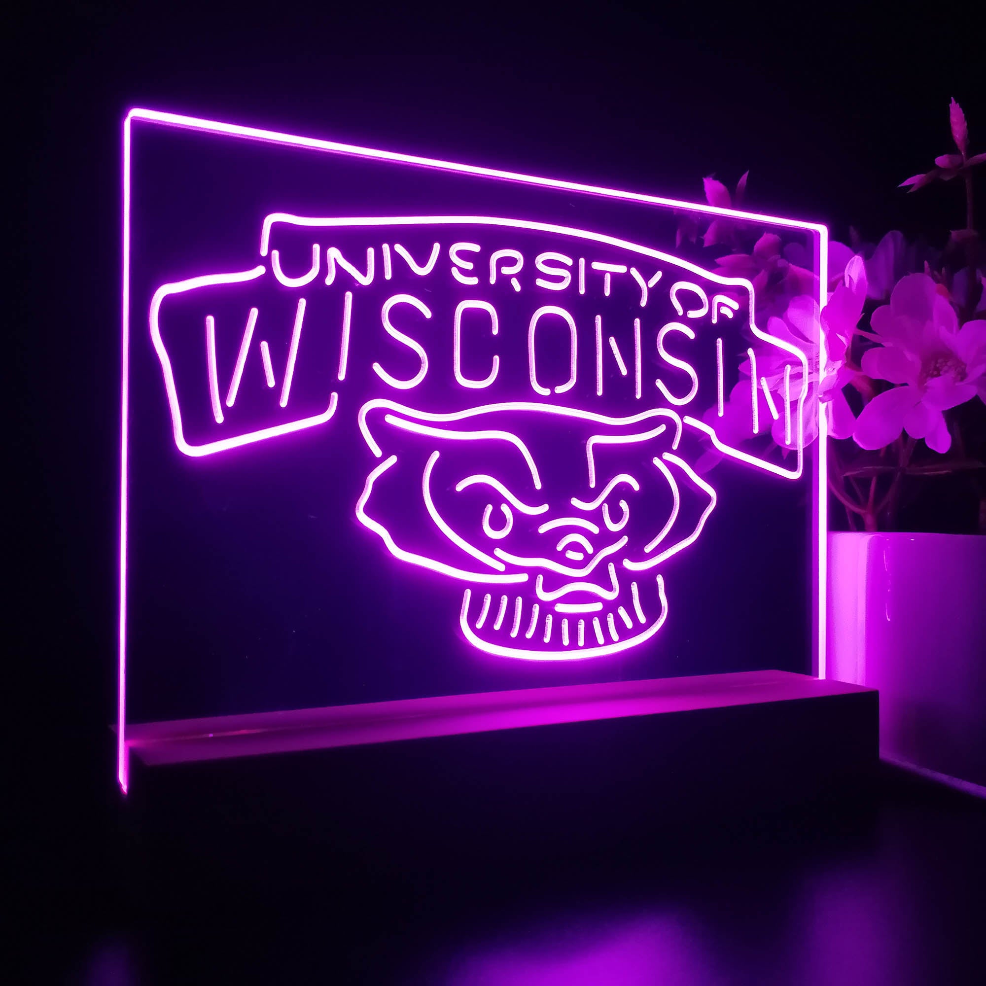 Wisconsin Badgers Sport Team Night Lamp 3D Illusion Lamp