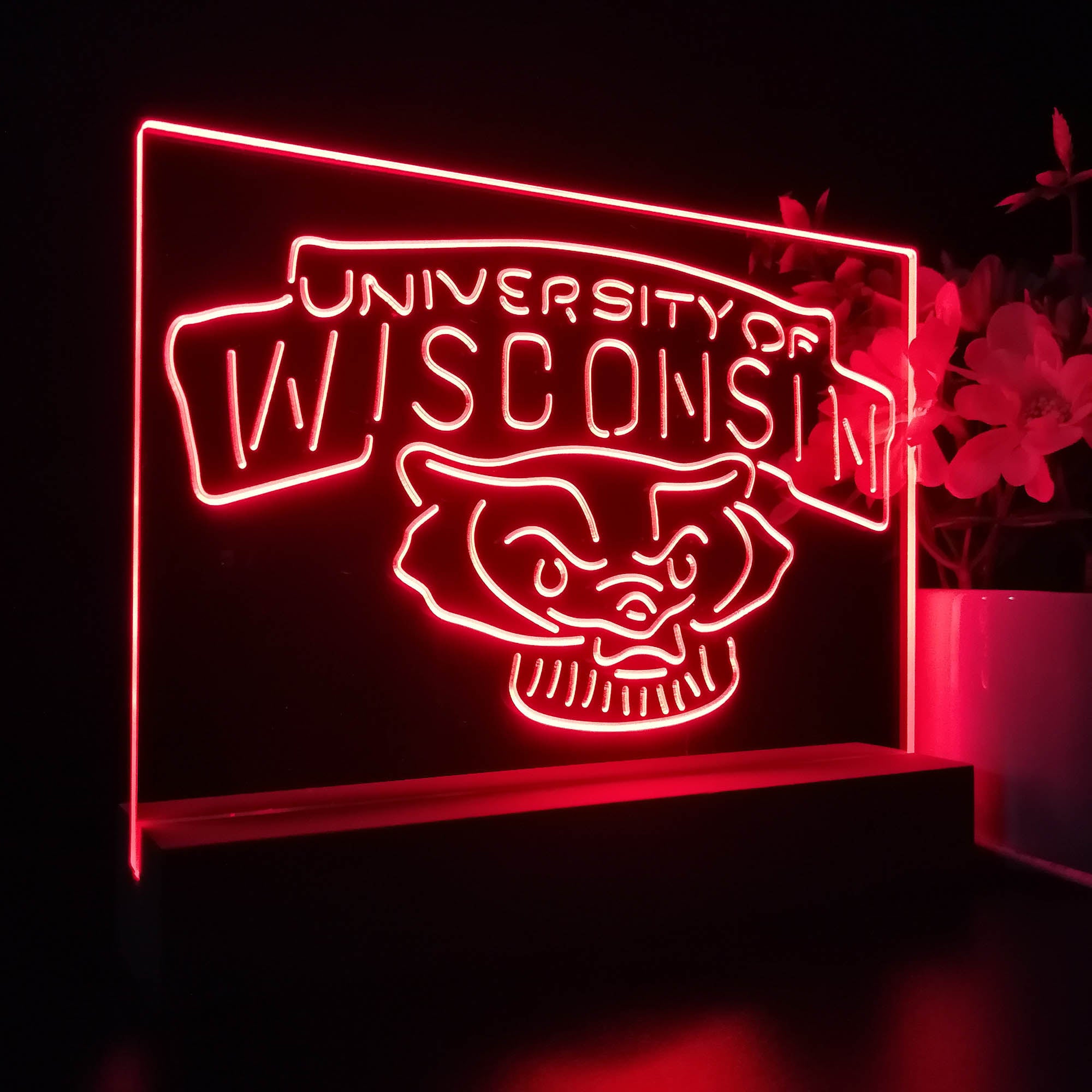 Wisconsin Badgers Sport Team Night Lamp 3D Illusion Lamp