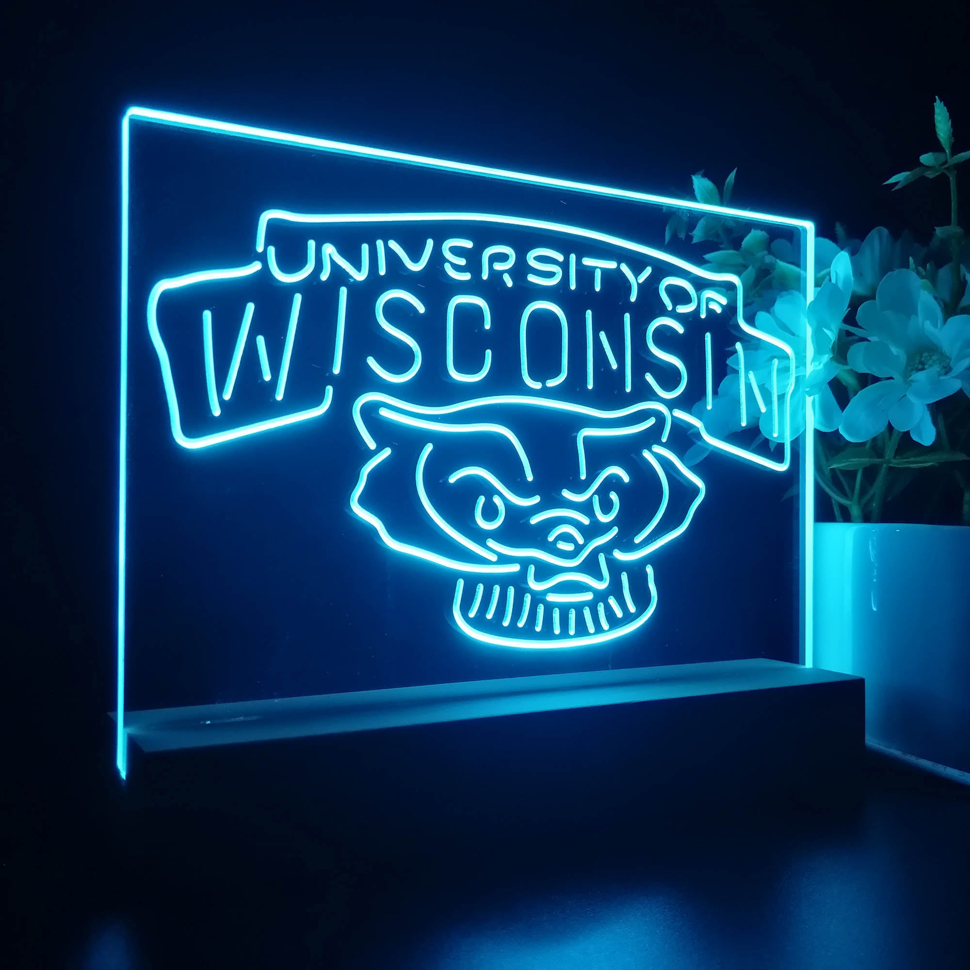 Wisconsin Badgers Sport Team Night Lamp 3D Illusion Lamp