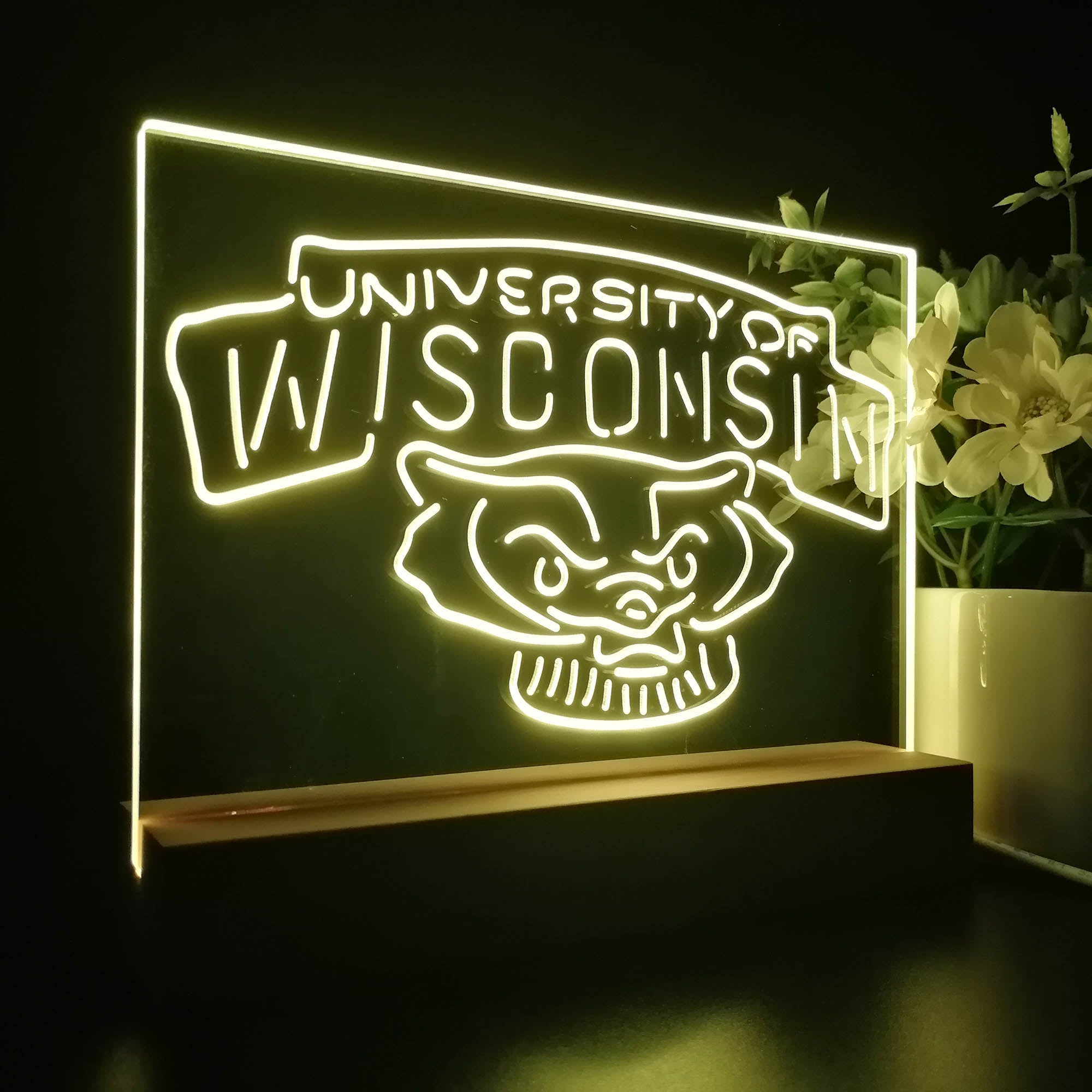Wisconsin Badgers Sport Team Night Lamp 3D Illusion Lamp