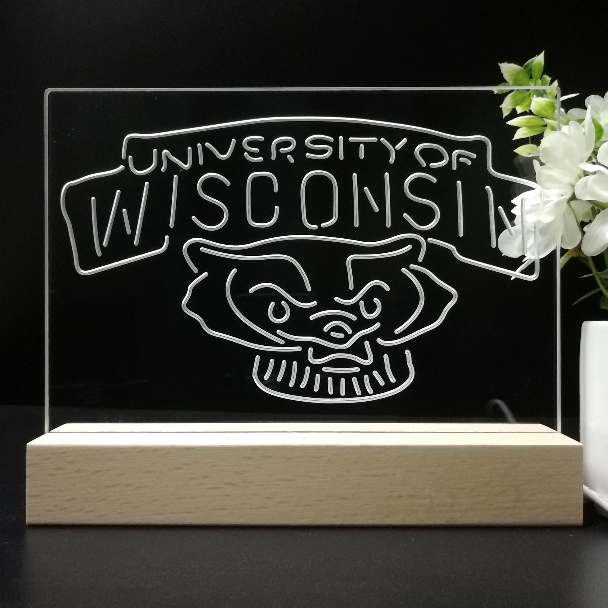 Wisconsin Badgers Sport Team Night Lamp 3D Illusion Lamp