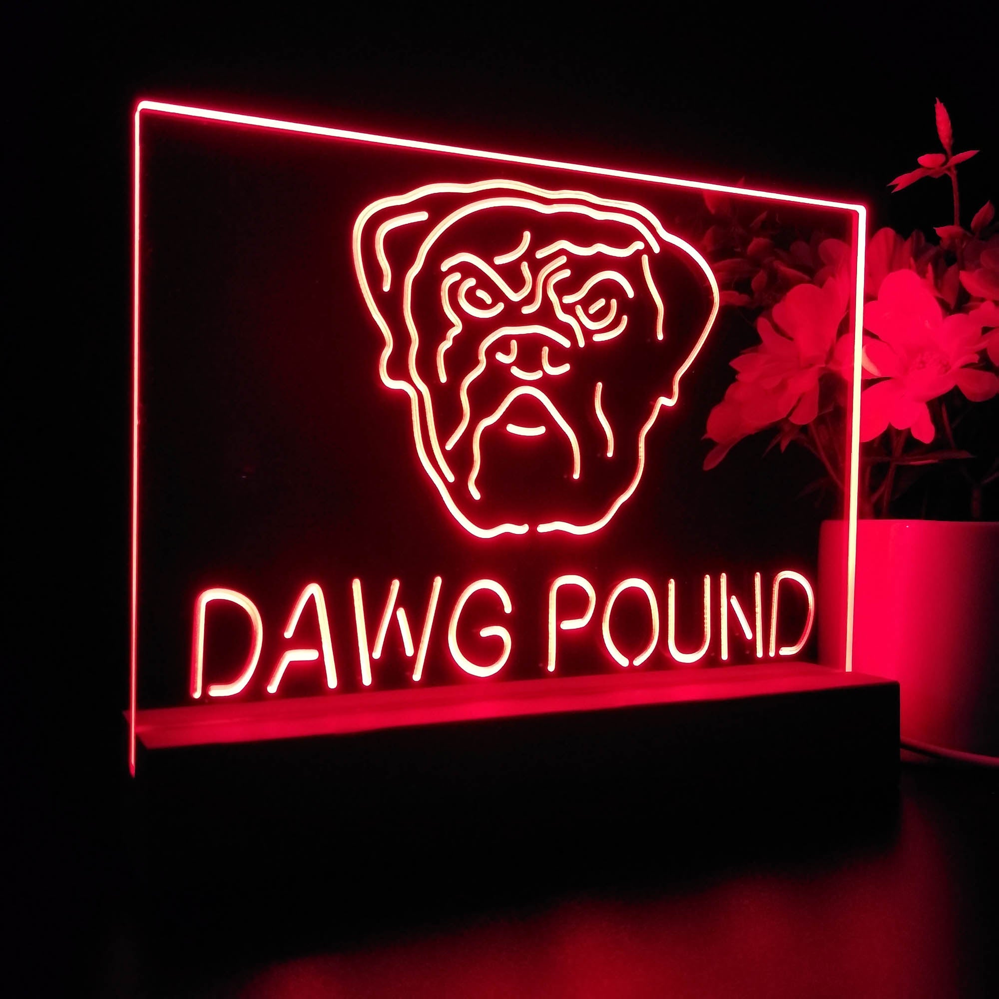 Dawg Pound Cleveland Sport Team Night Lamp 3D Illusion Lamp