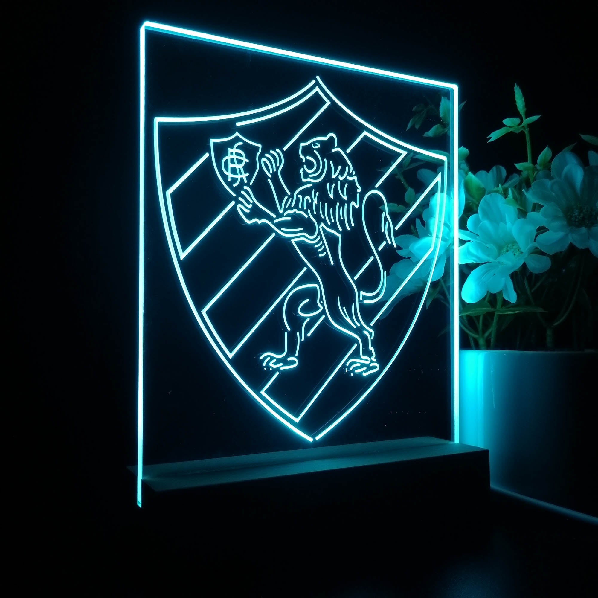Sport Club do Recife 3D LED Optical Illusion Sport Team Night Light
