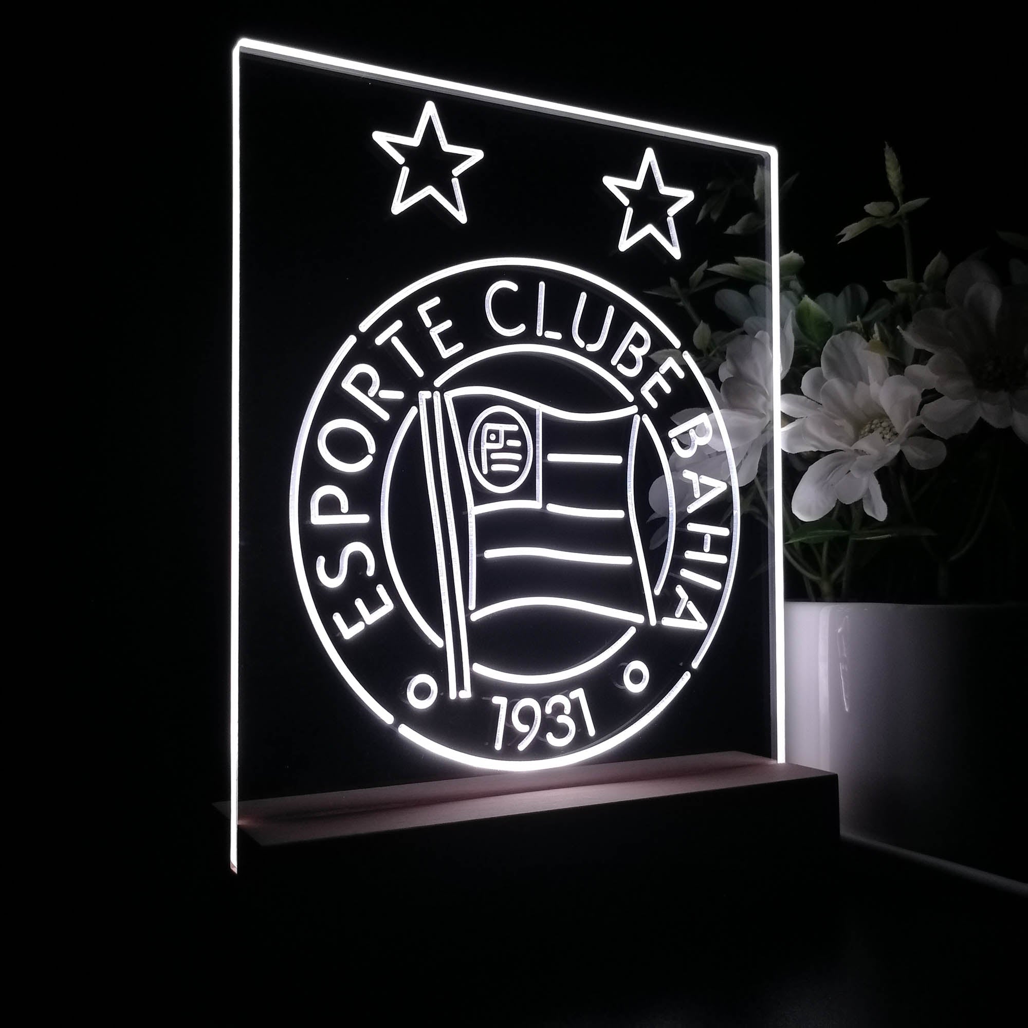 Esporte Clube Bahia 3D LED Optical Illusion Sport Team Night Light