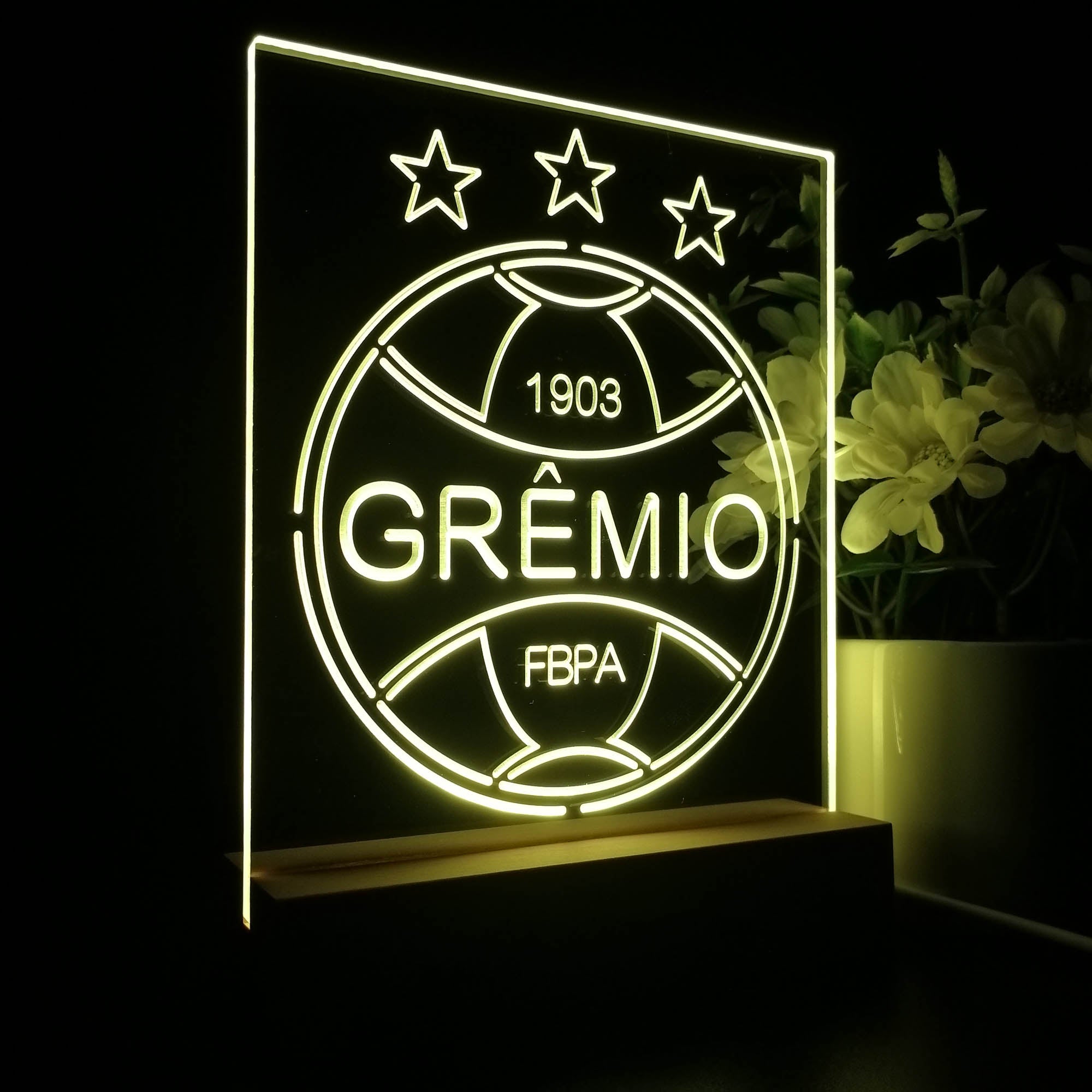 Grêmio Foot-Ball Porto Alegrense 3D LED Optical Illusion Sport Team Night Light