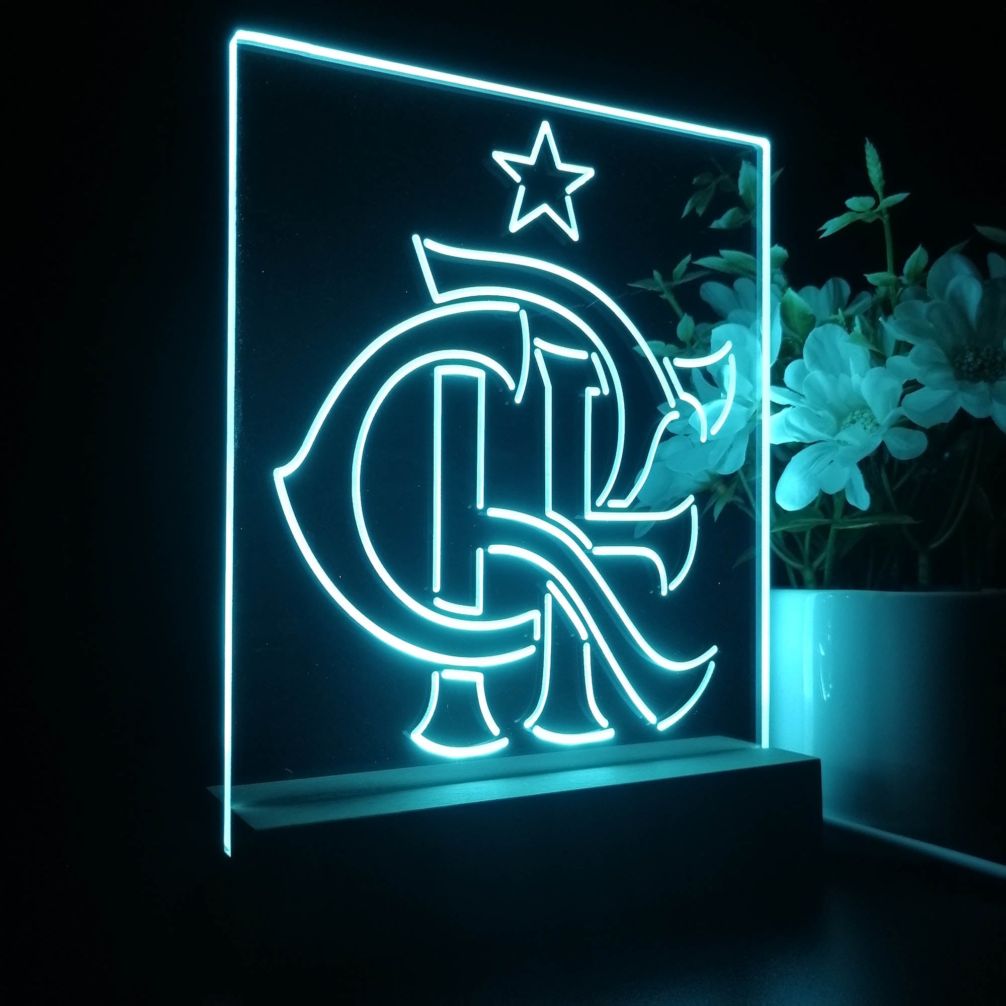 Clube de Regatas do Flamengo 3D LED Optical Illusion Sport Team Night Light